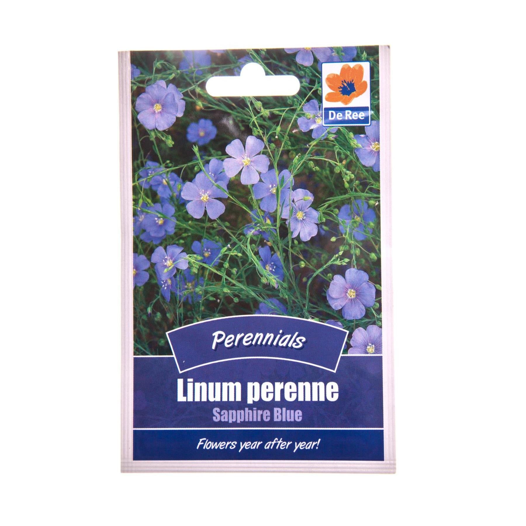 Linum Perenne