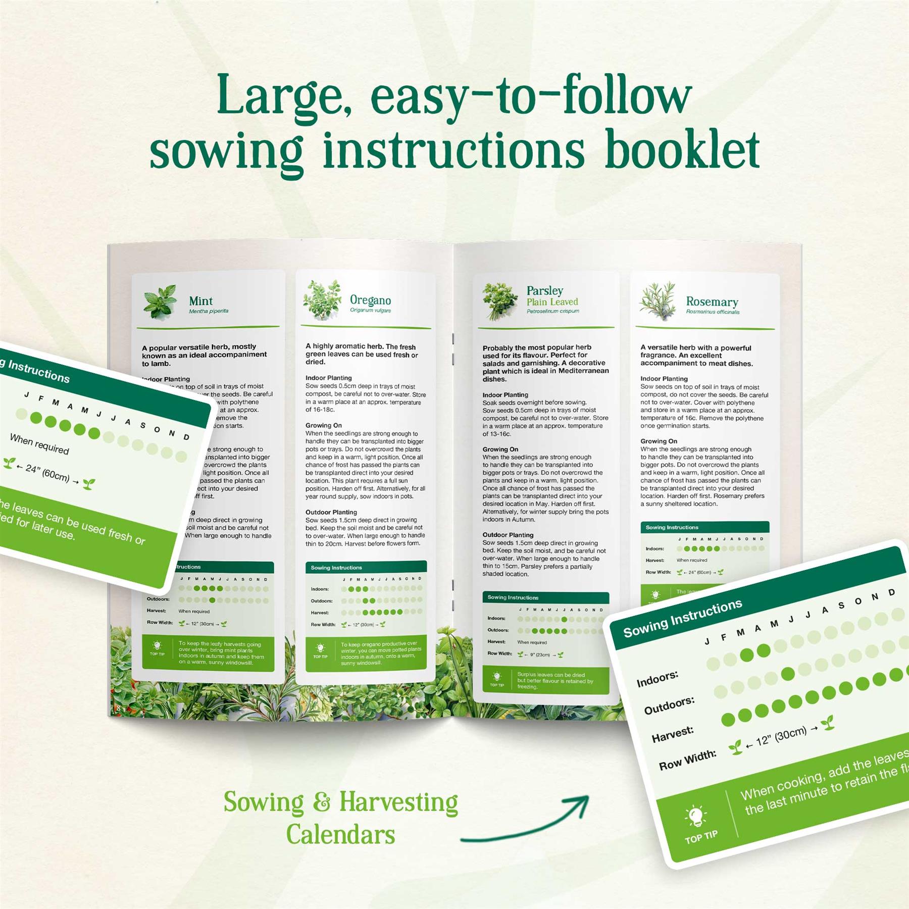 Get Your Garden Growing: 35 Variety Herb Seeds Pack For Planting