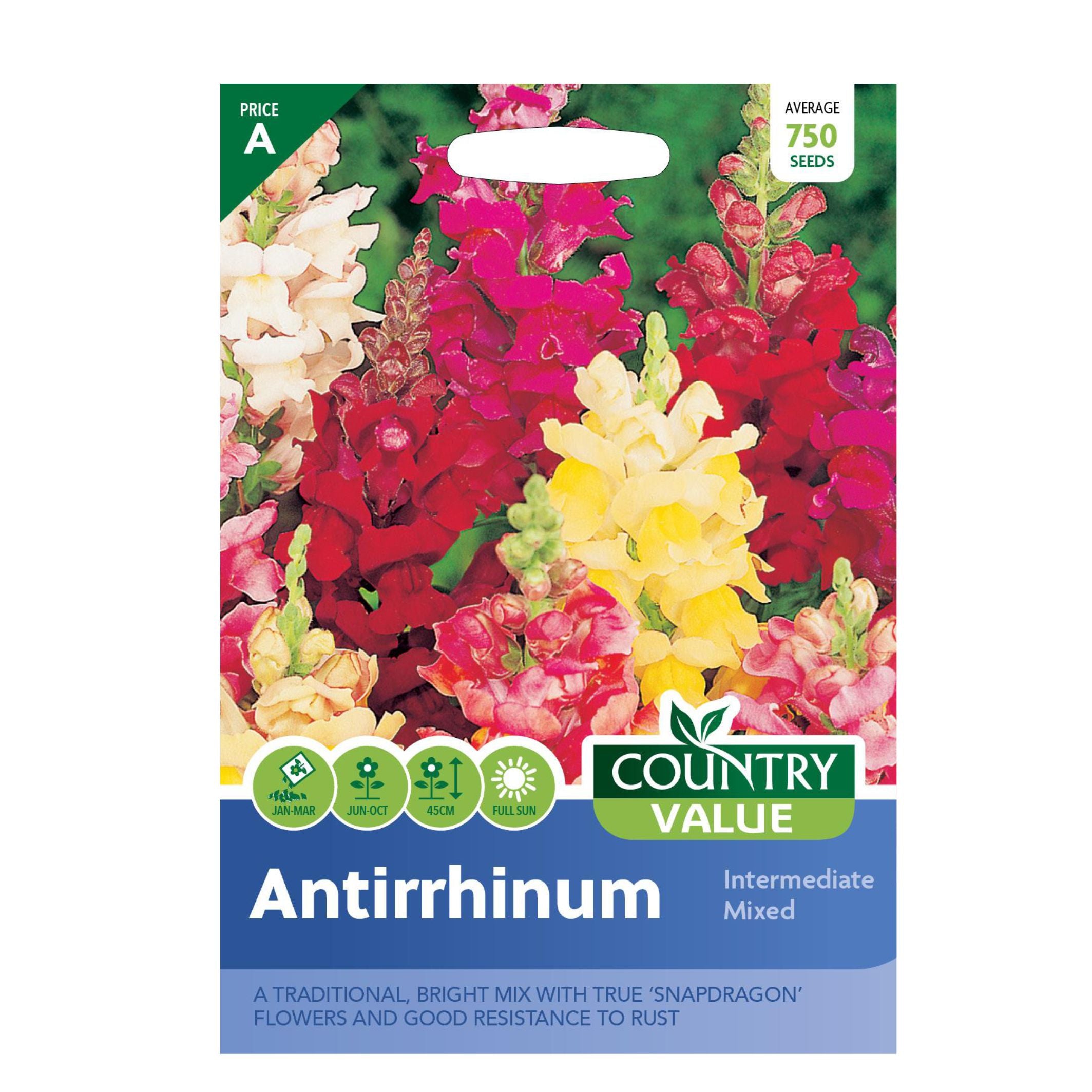 Antirrhinum Intermediate Mixed