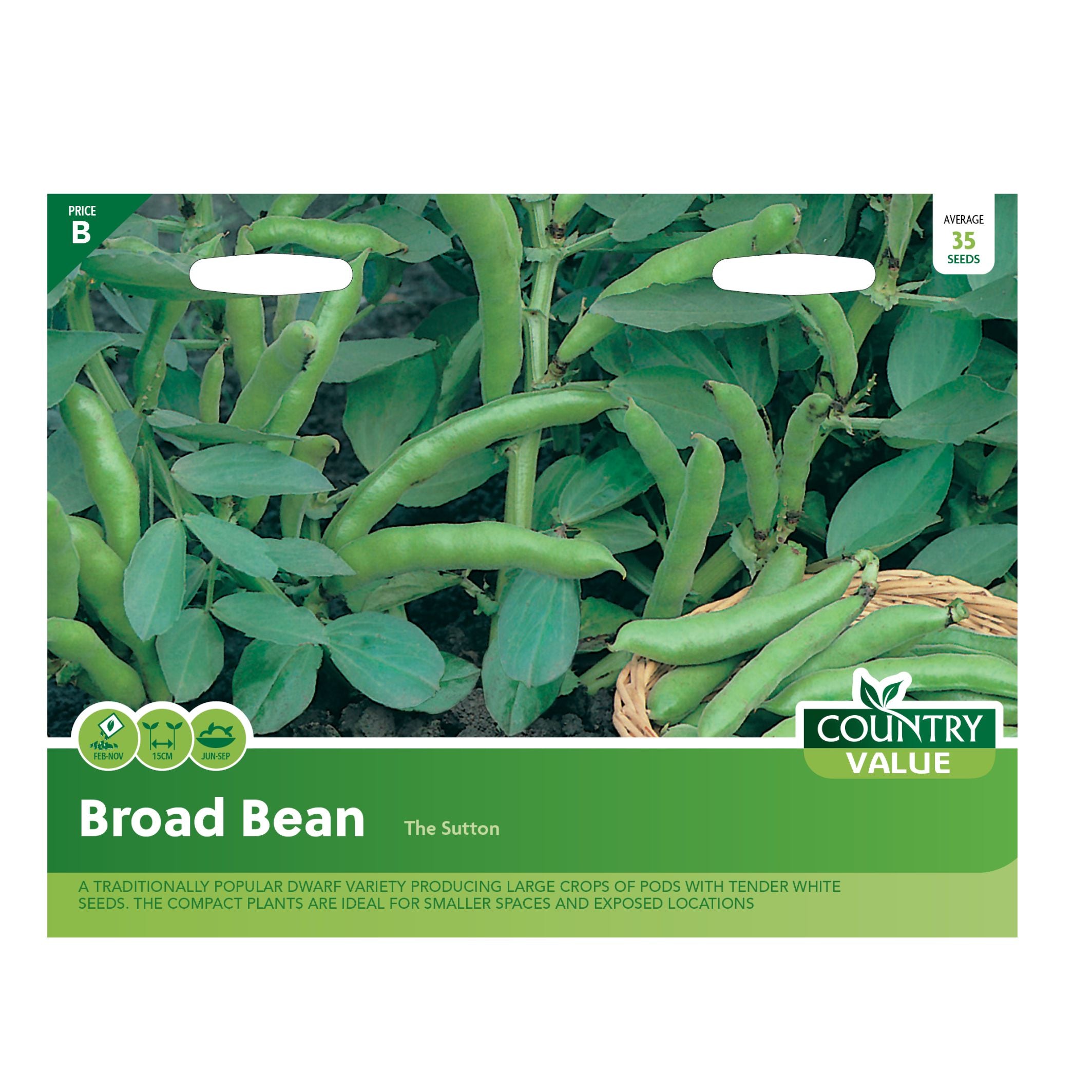 Broad Bean The Sutton