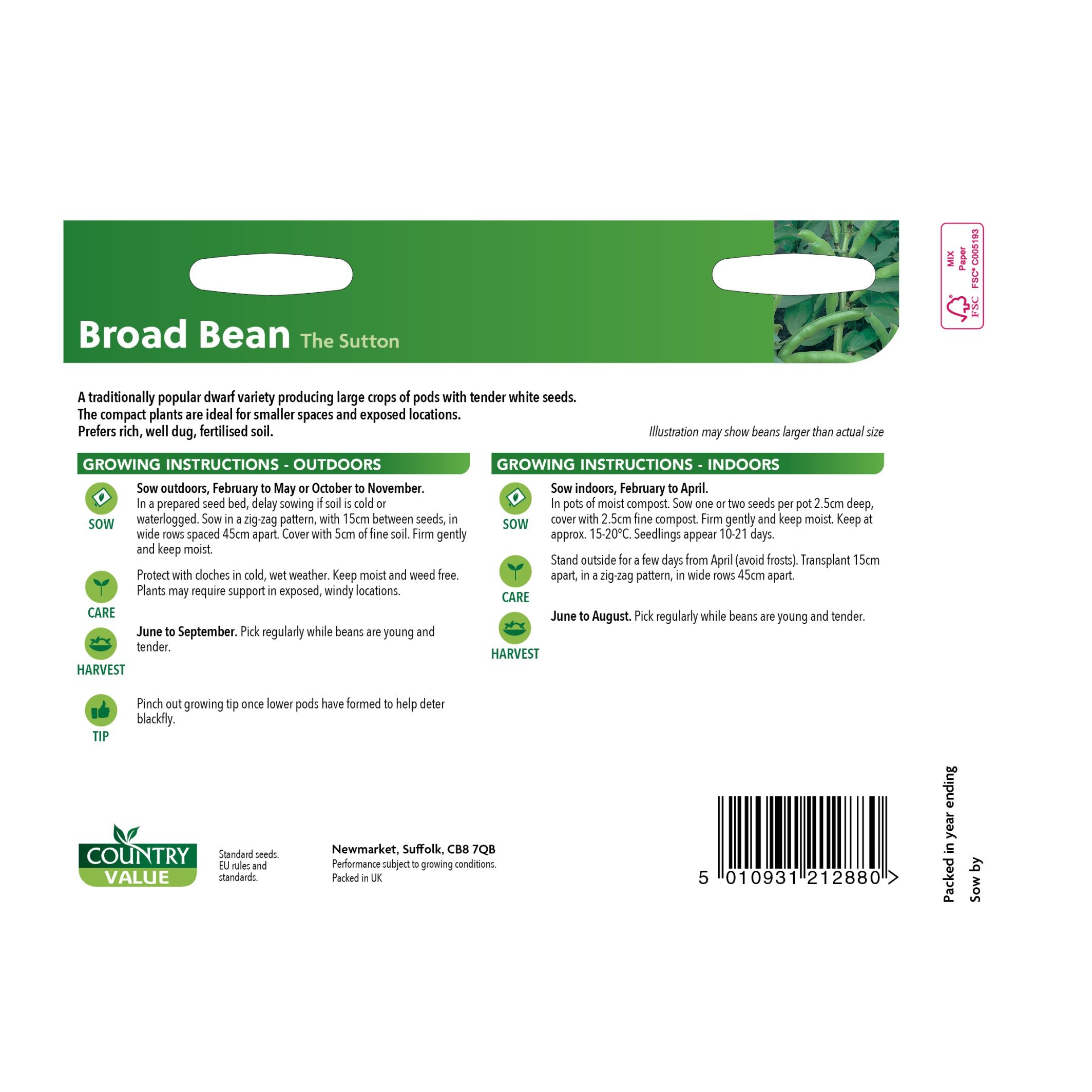 Broad Bean The Sutton