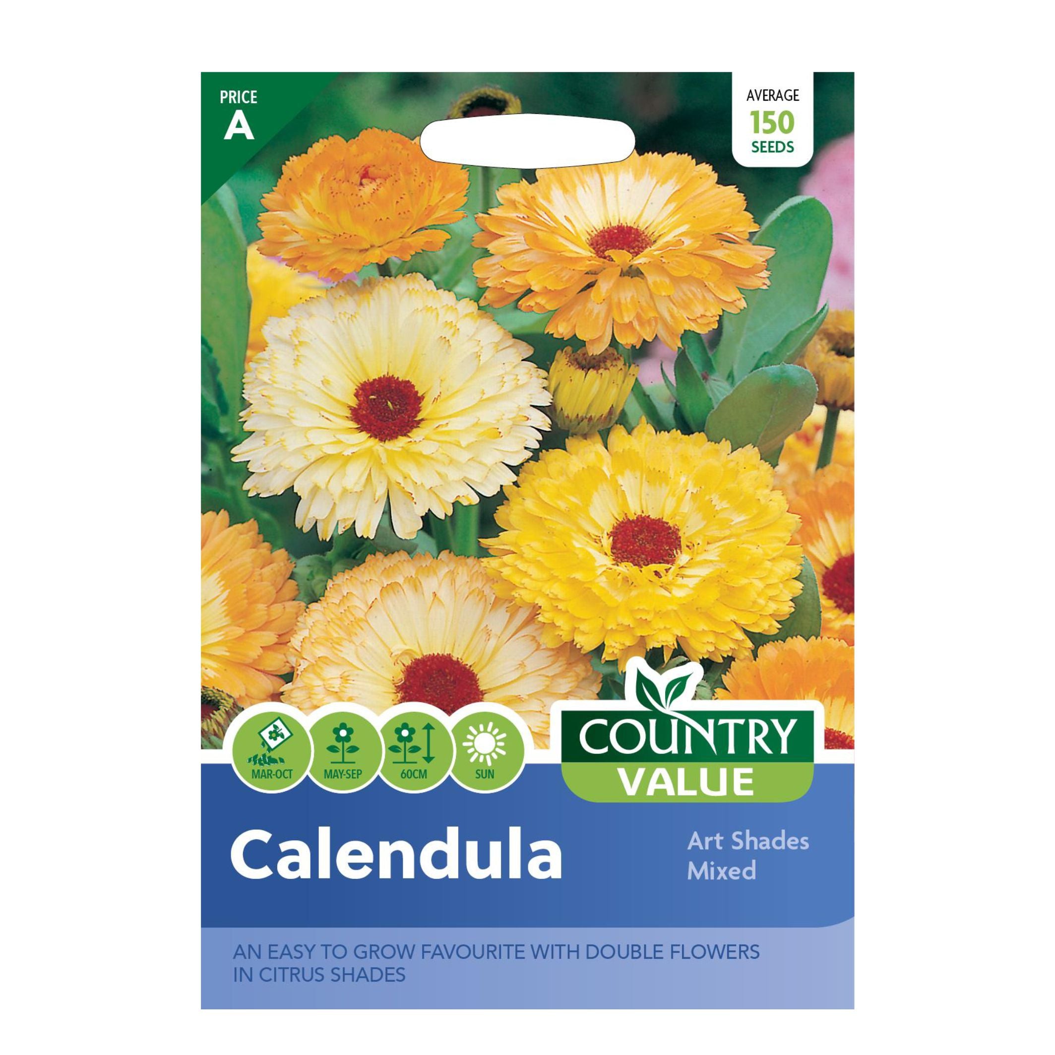 Calendula Art Shades