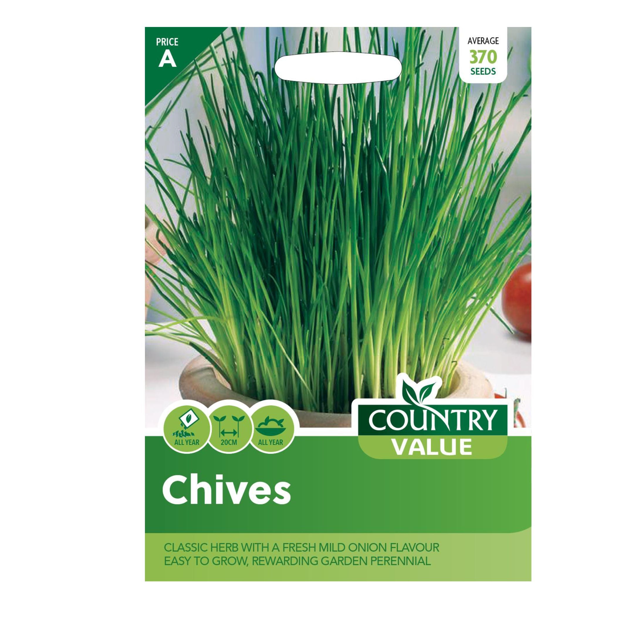 Chives fine Leaf