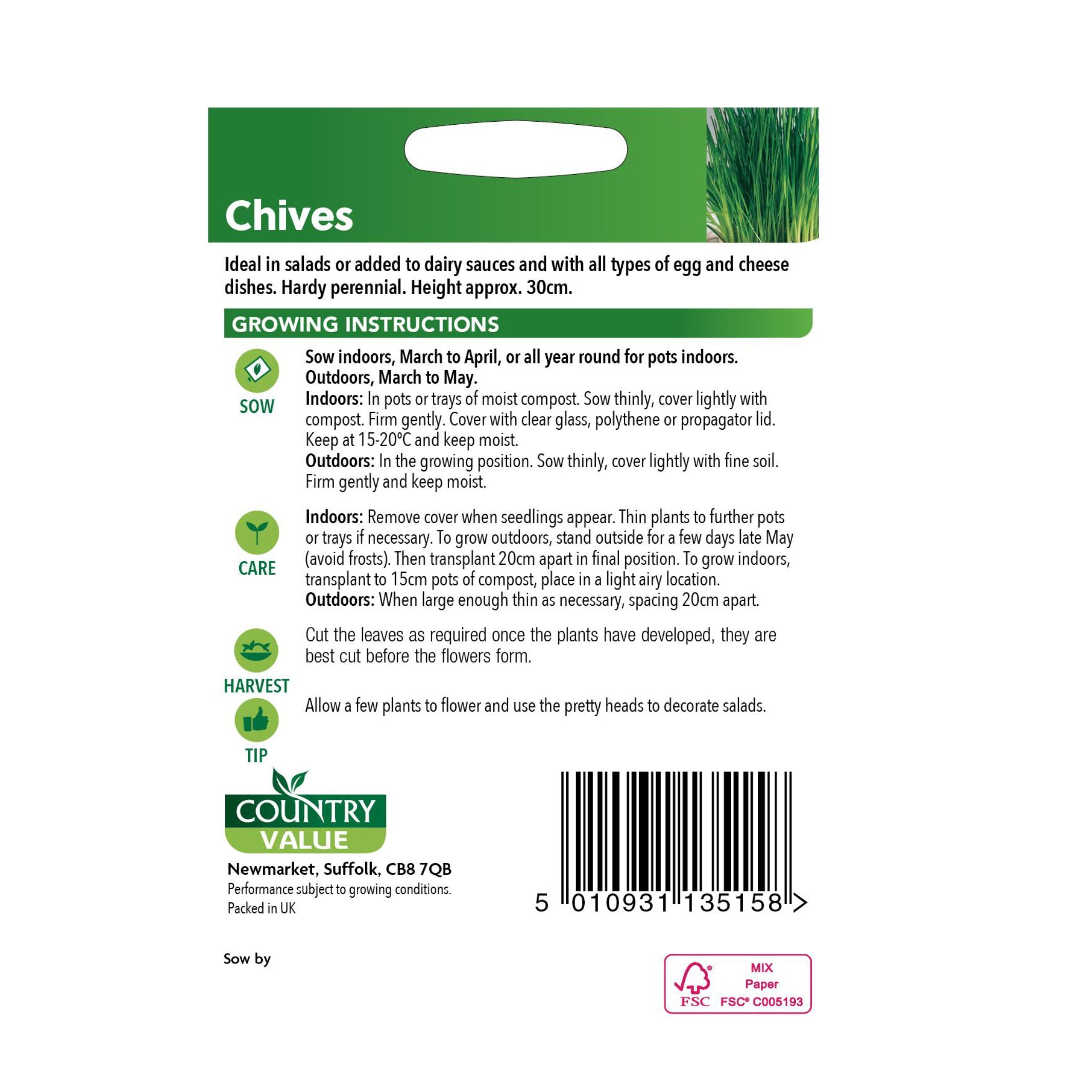 Chives fine Leaf