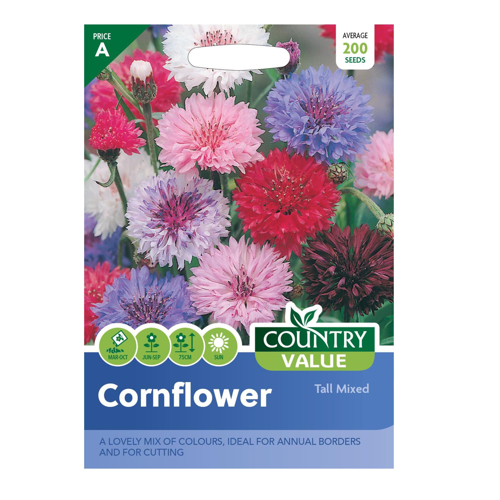 Cornflower Tall Mixed