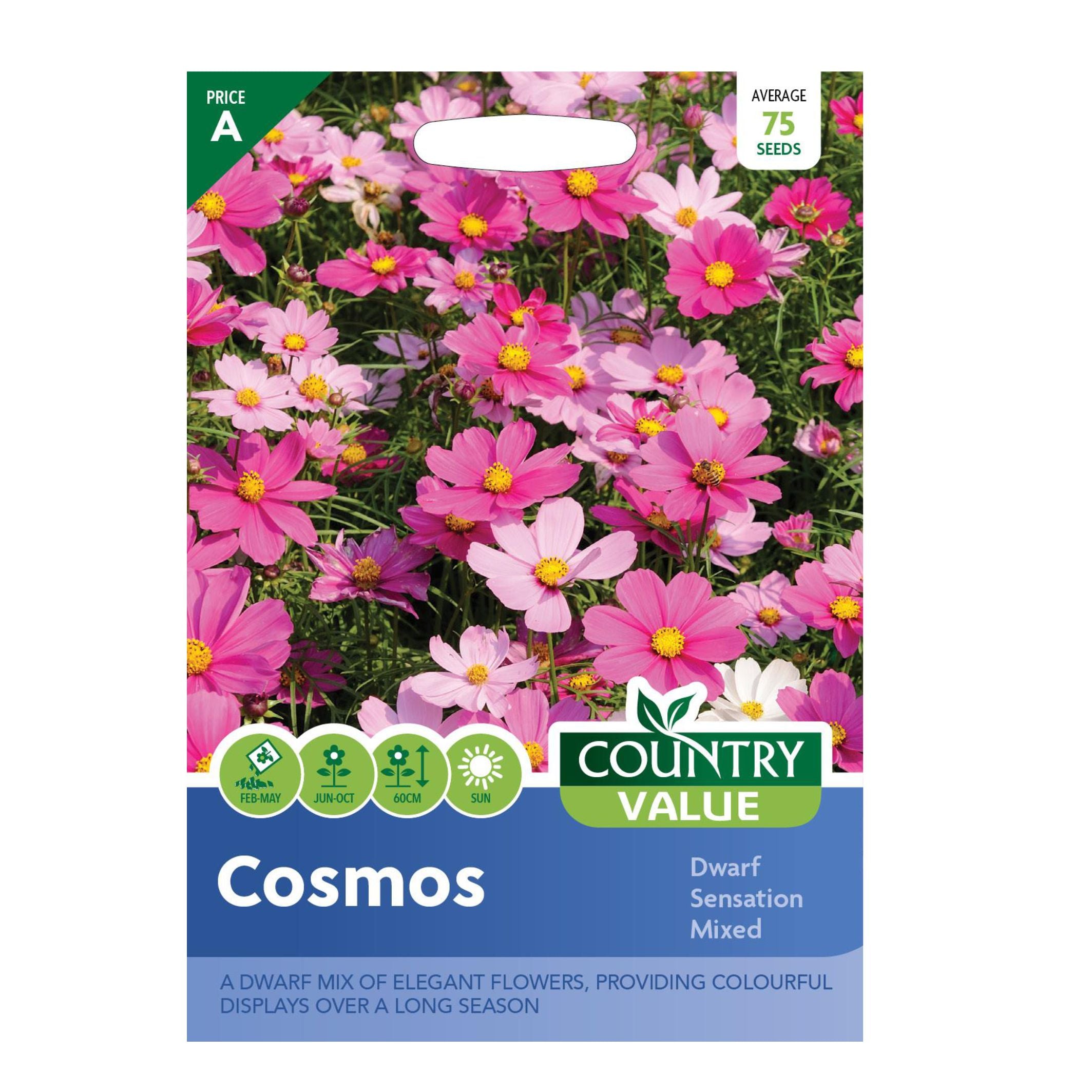 Cosmos Dwarf Sensation Mixed