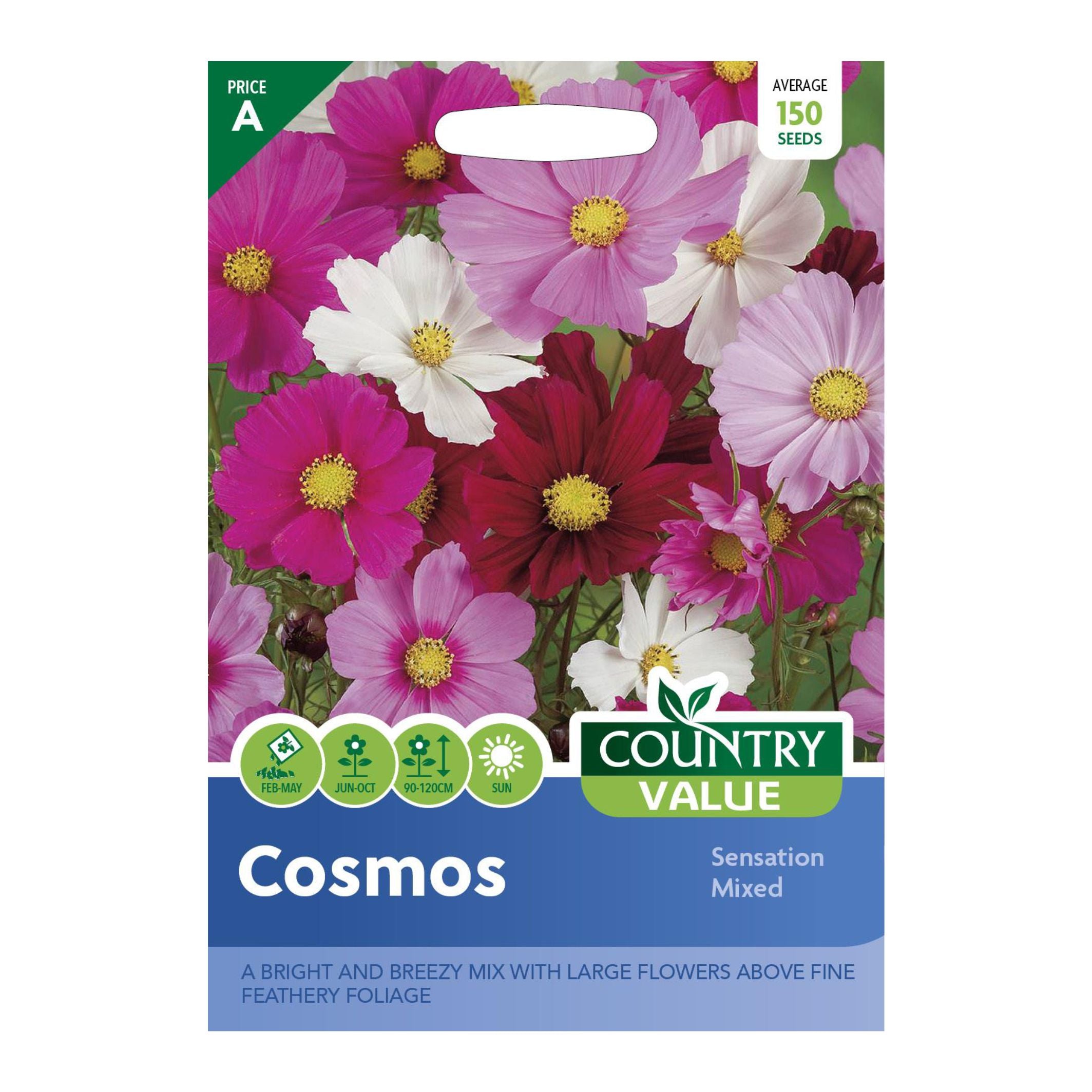 Cosmos Sensation Mixed