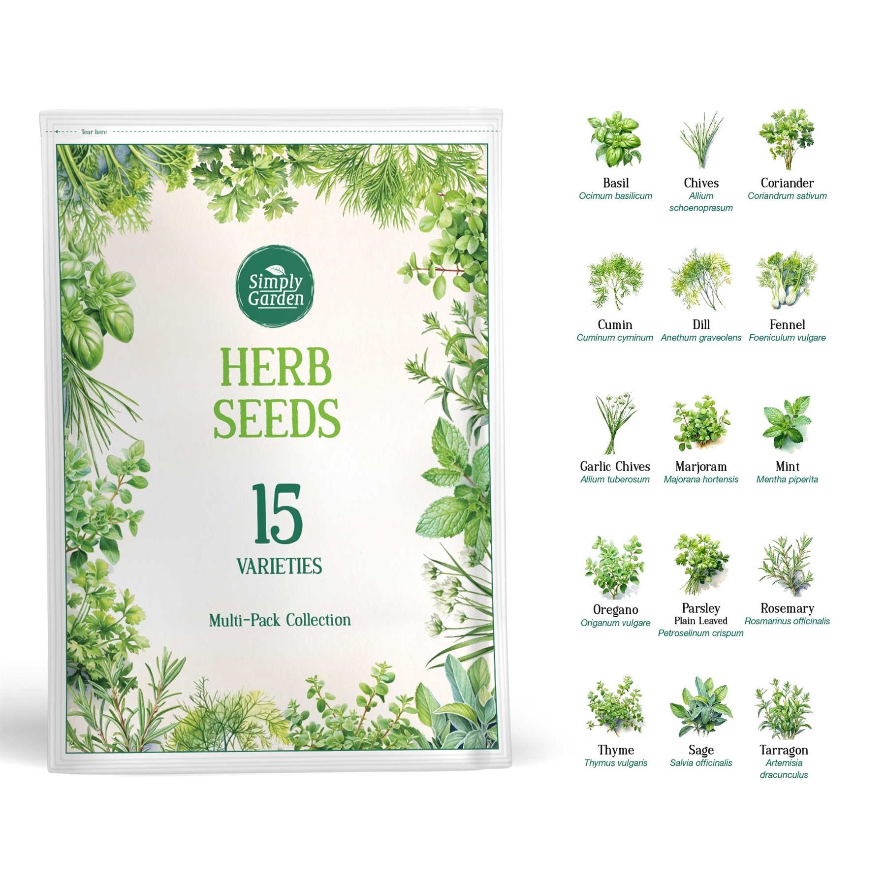 15 Herb Seed Pack