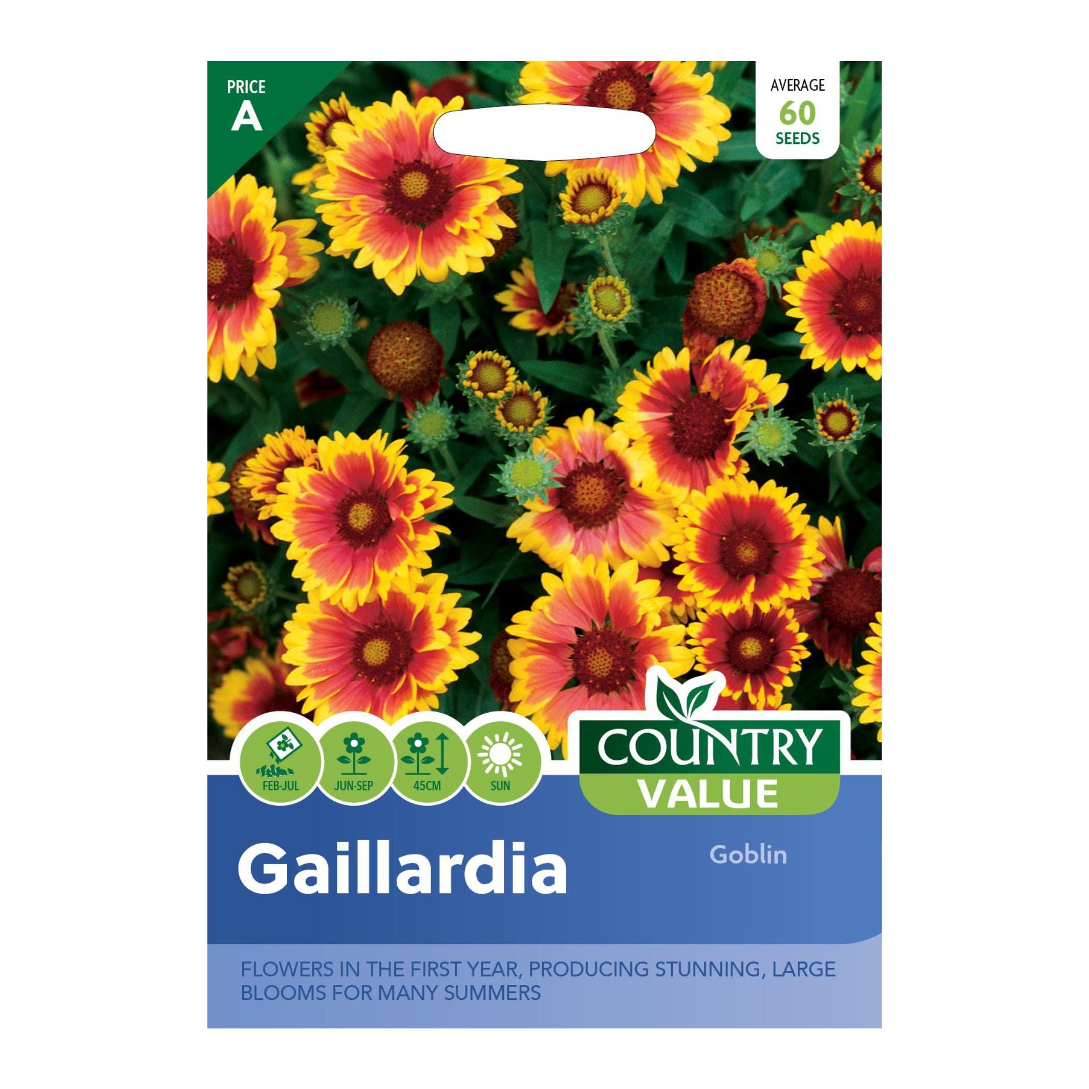 Gaillardia Goblin