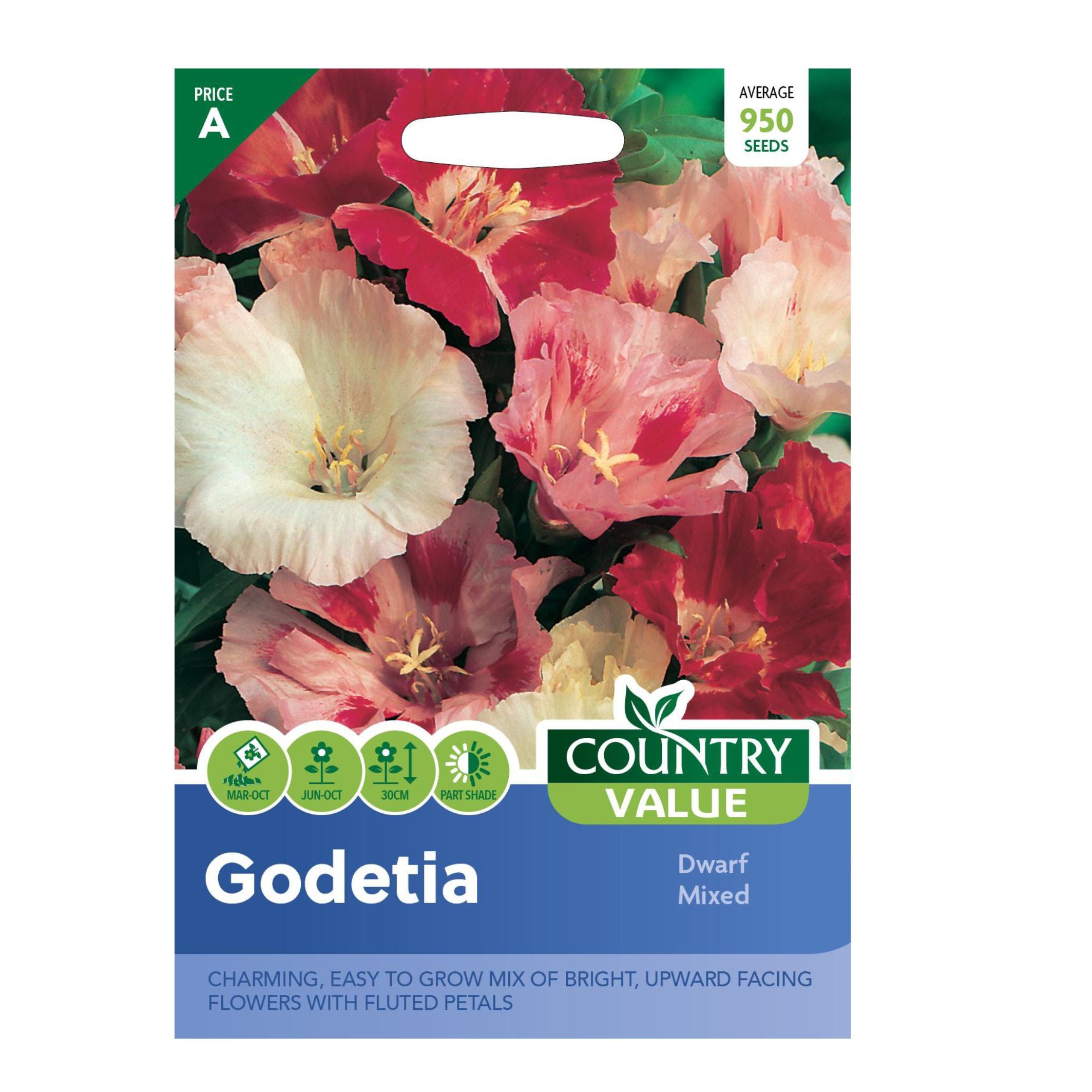 Godetia Dwarf Mixed