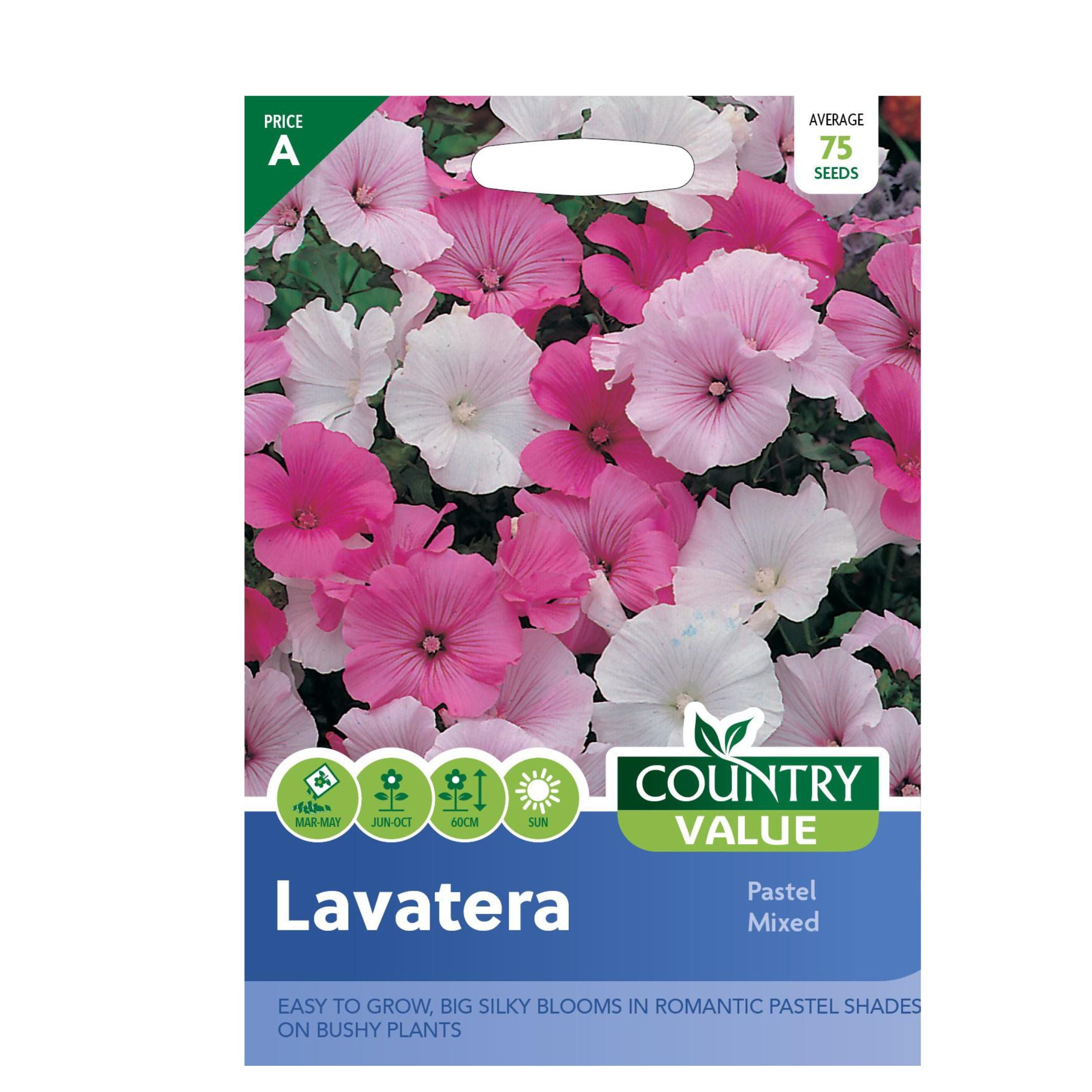 Lavatera Pastel Mixed