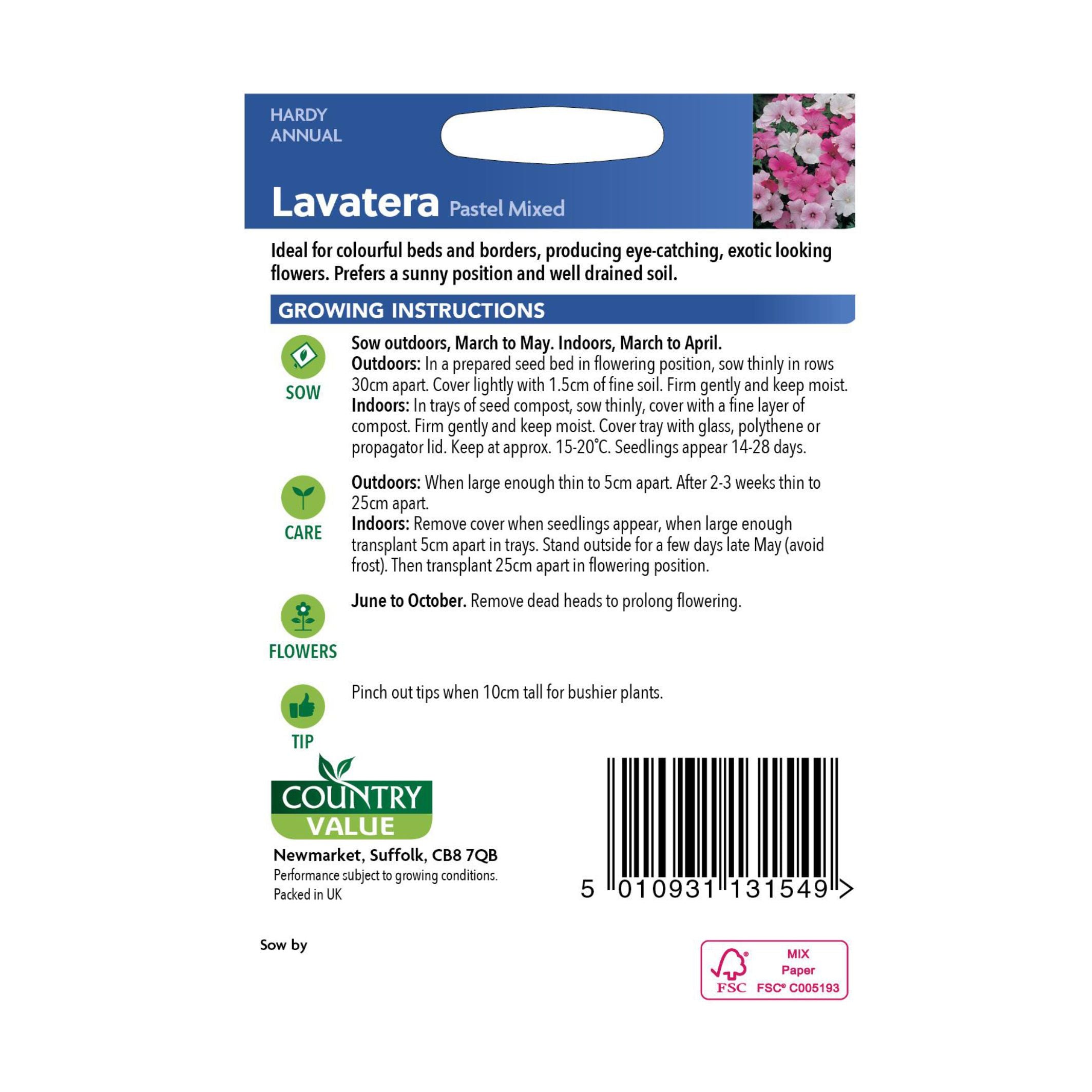 Lavatera Pastel Mixed