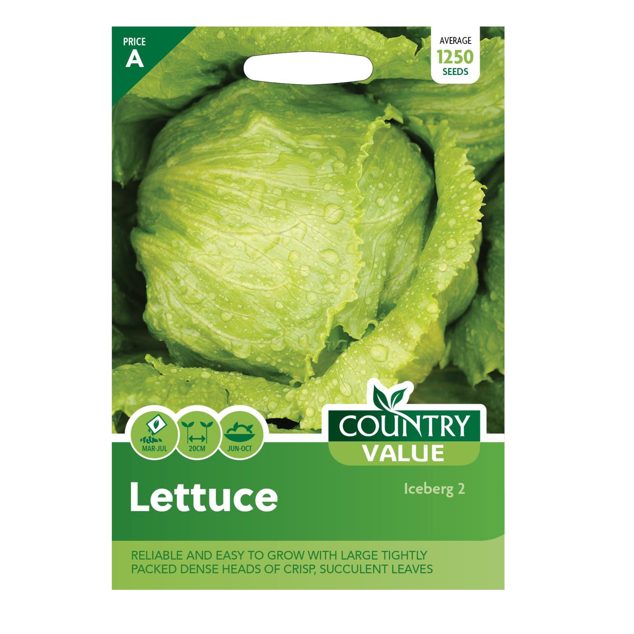 Lettuce Iceberg