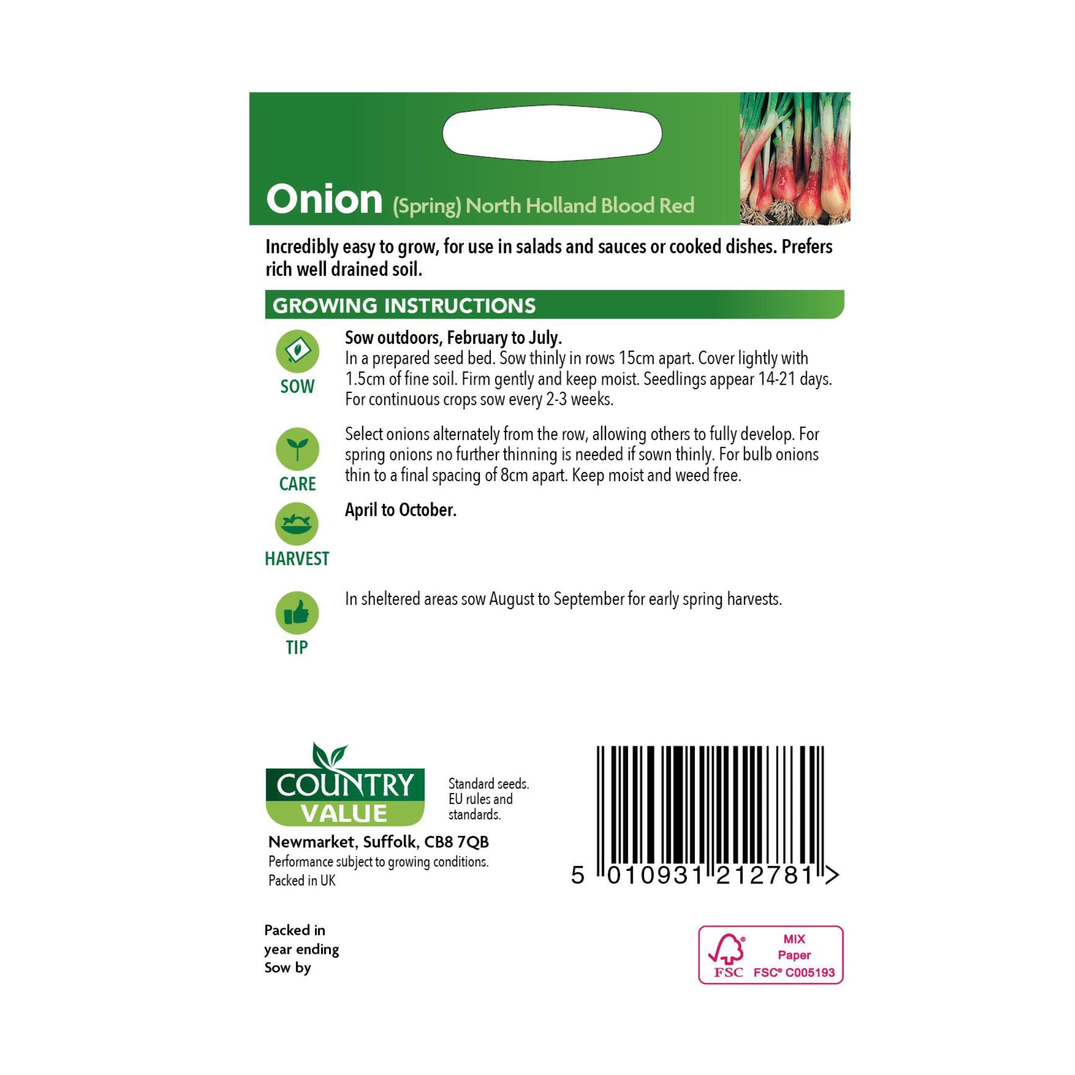 Onion North Holland Blood Red