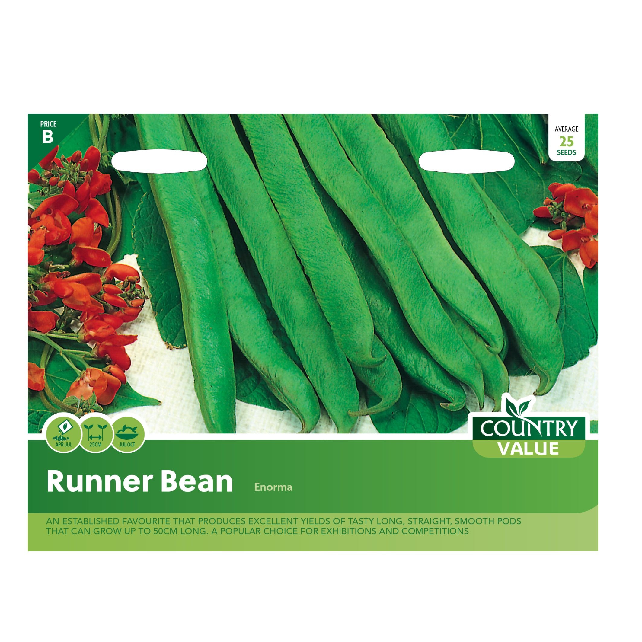 Runner Bean Enorma