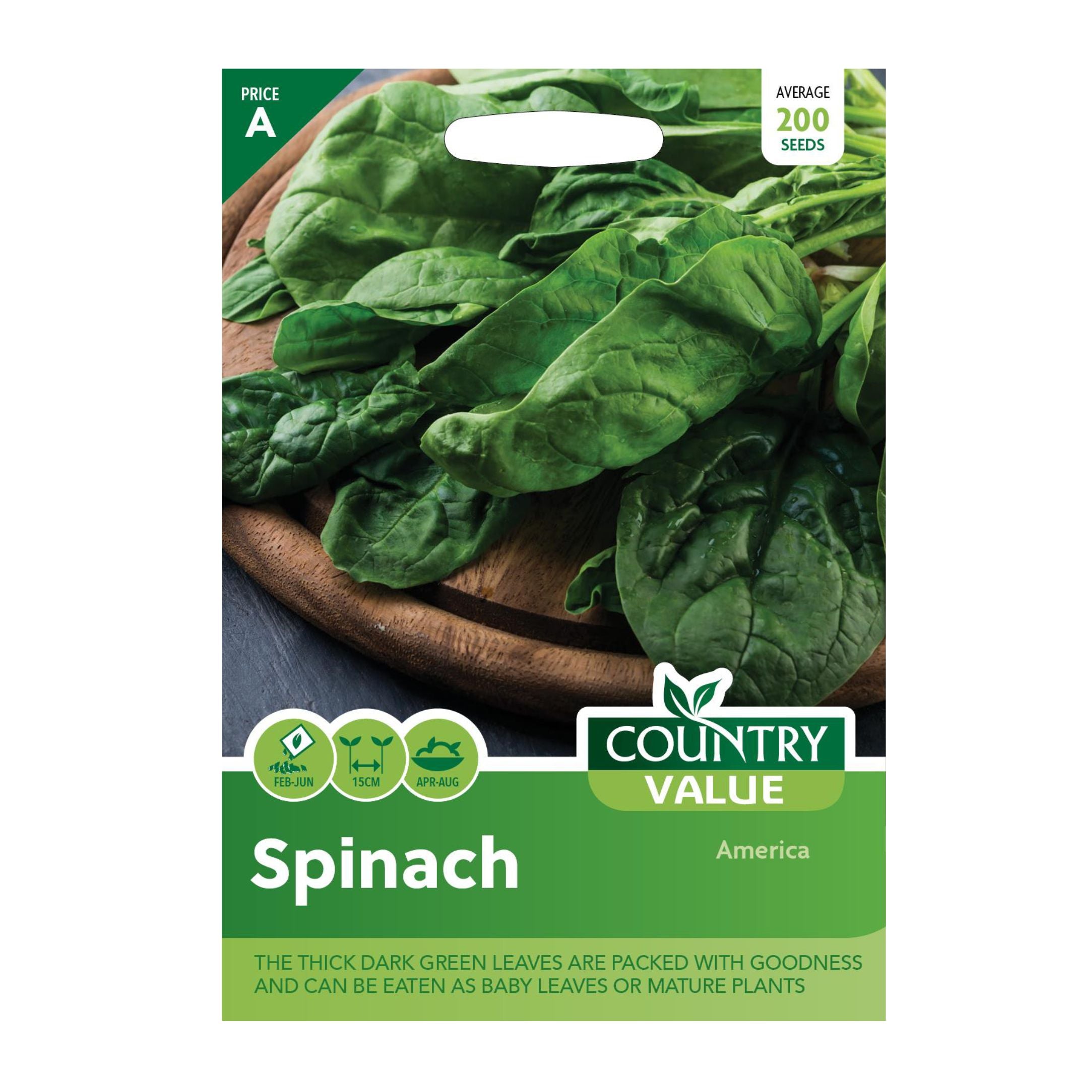 Spinach America