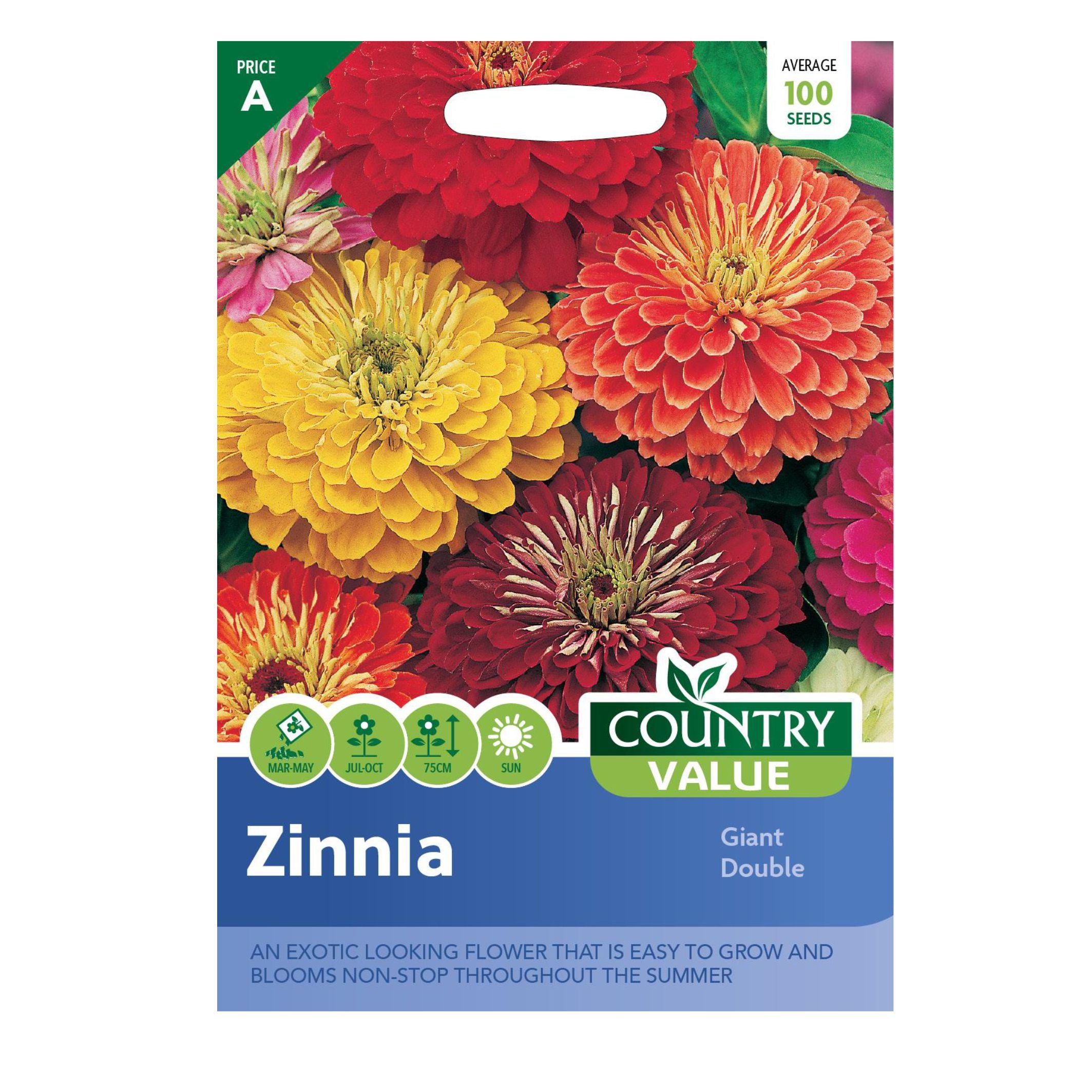 Zinnia Giant Double