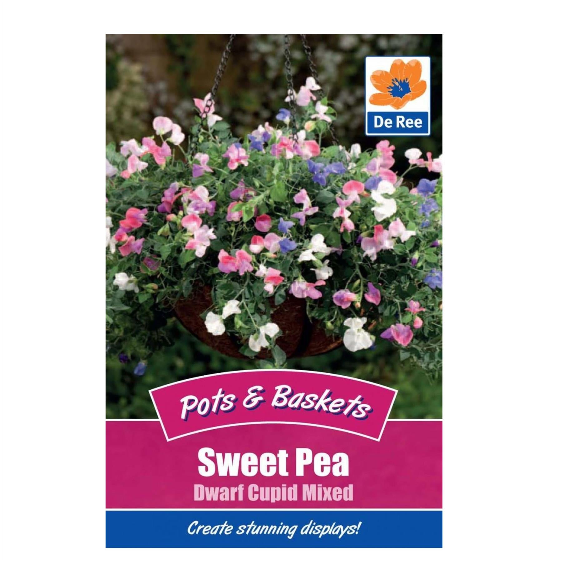 Sweet Pea Dwarf Cupid Mixed