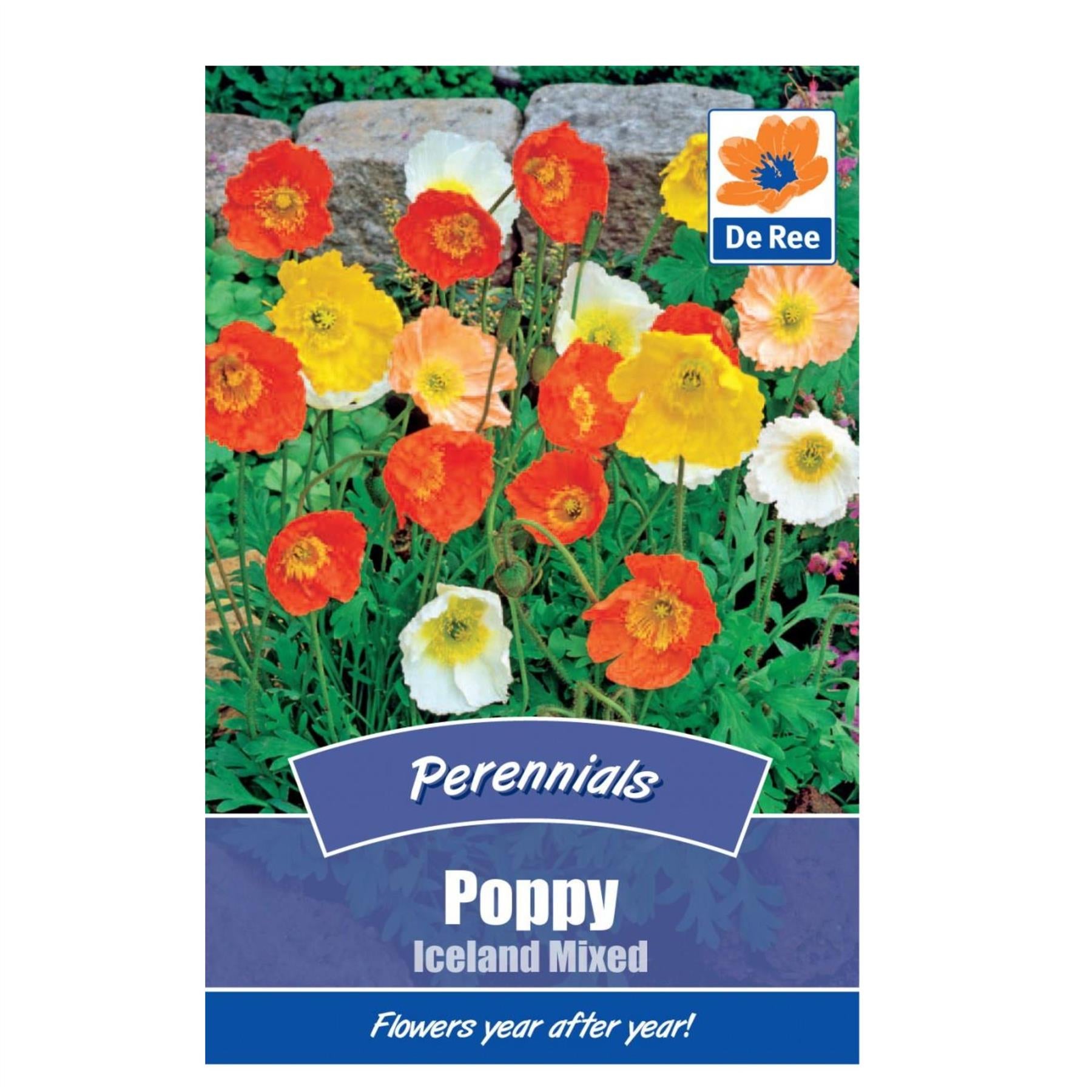 Poppy Iceland