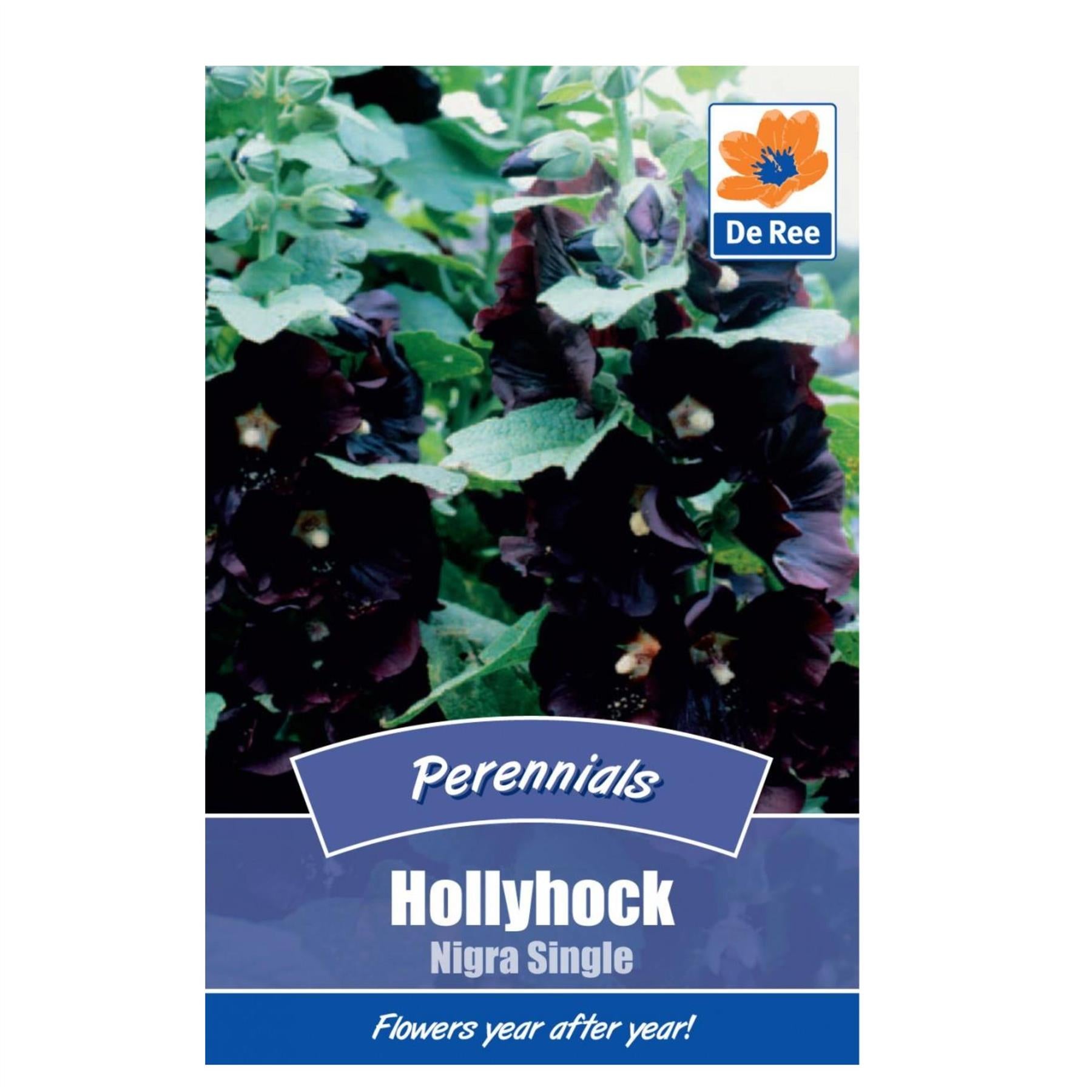 Hollyhock Nigra Single