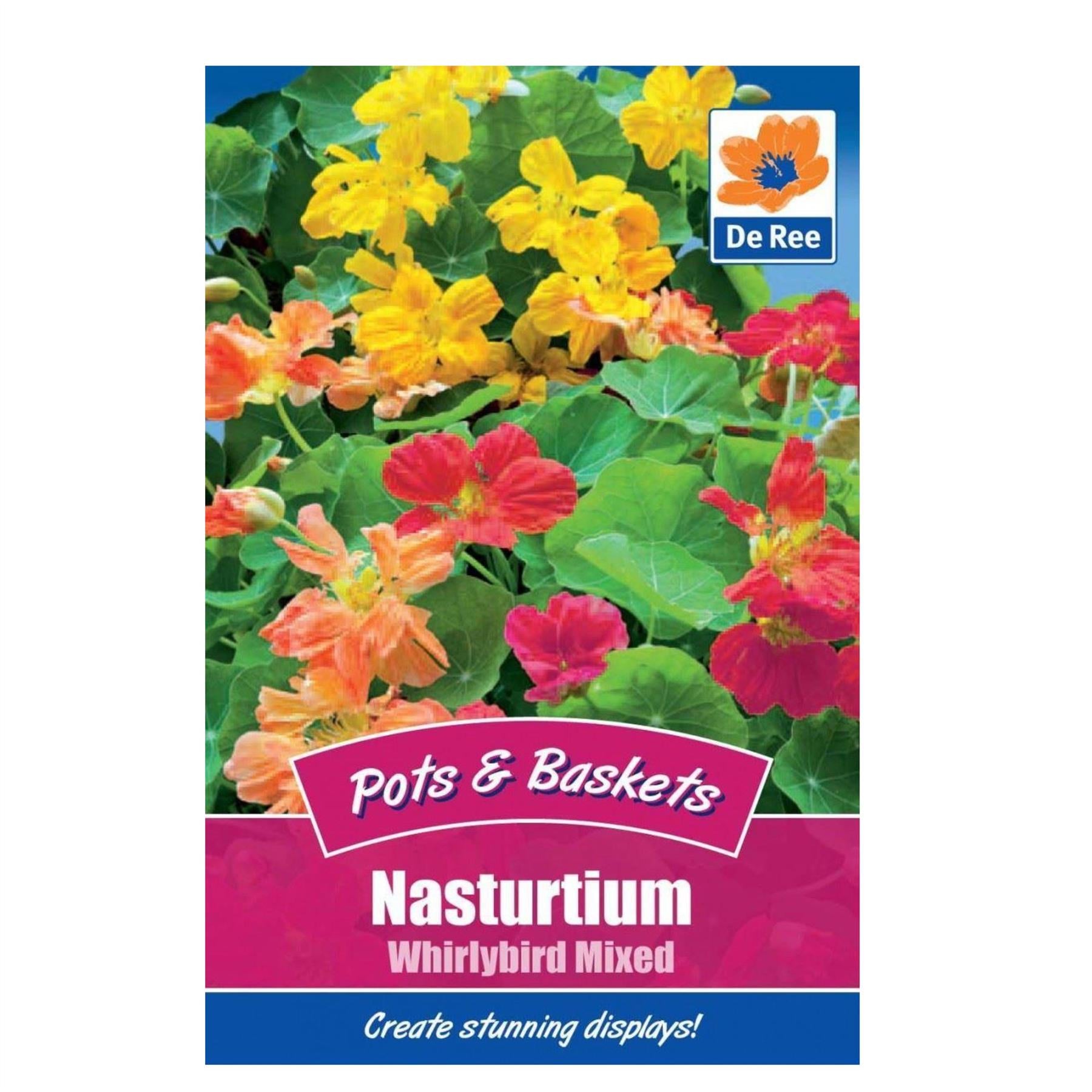 Nasturtium Whirlybird