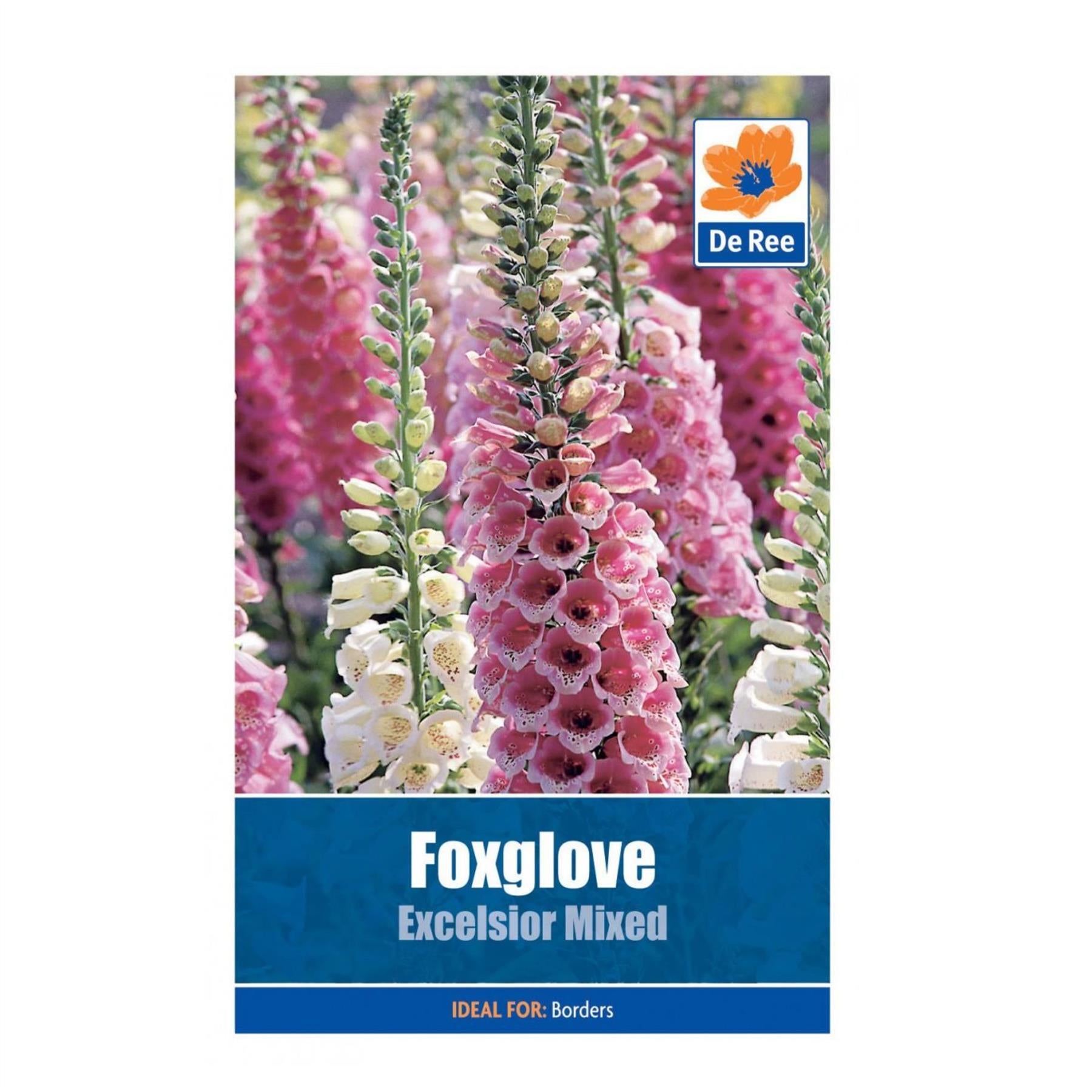 Foxglove Excelsior Mixed