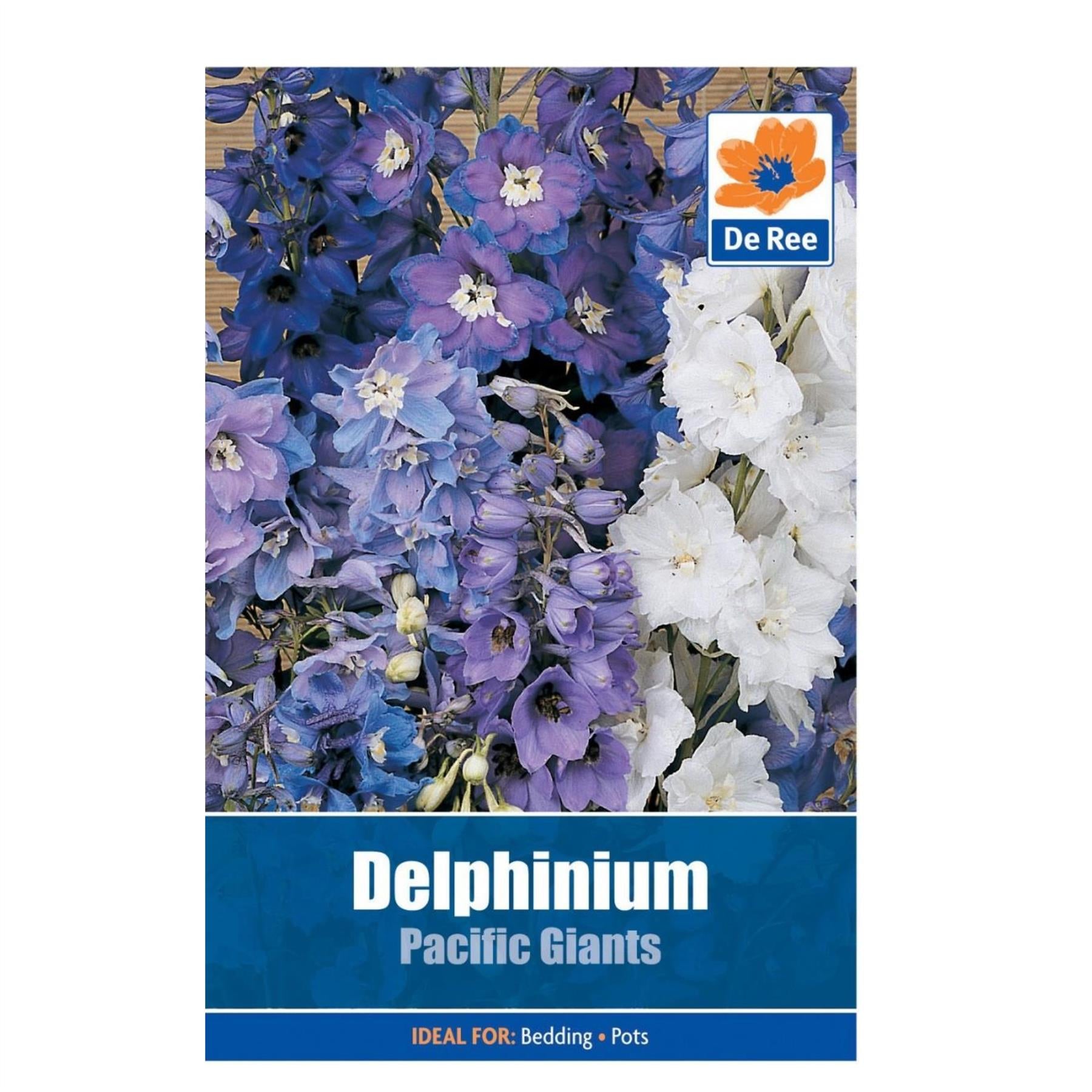 Delphinium Pacific Giants