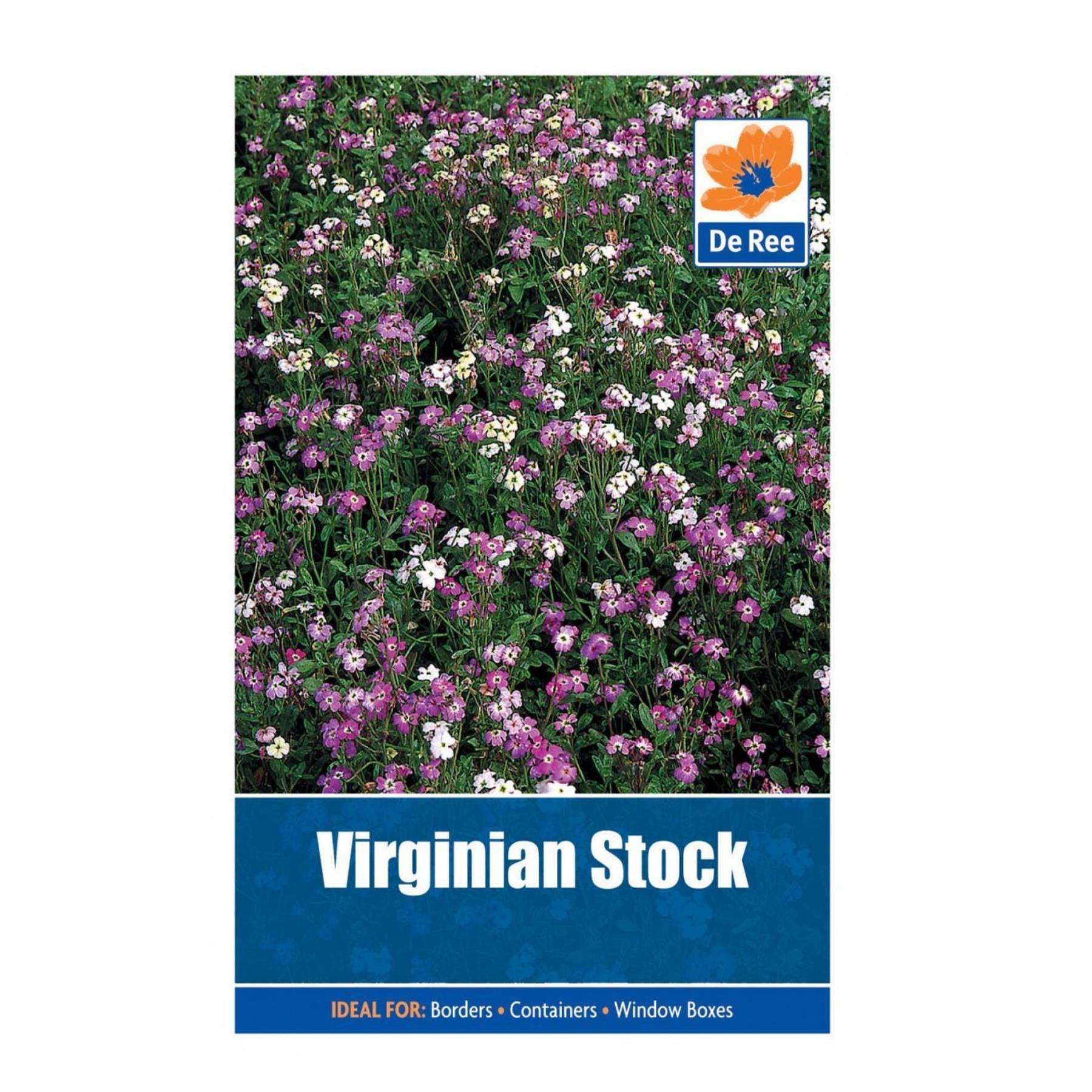 Virginian Stock