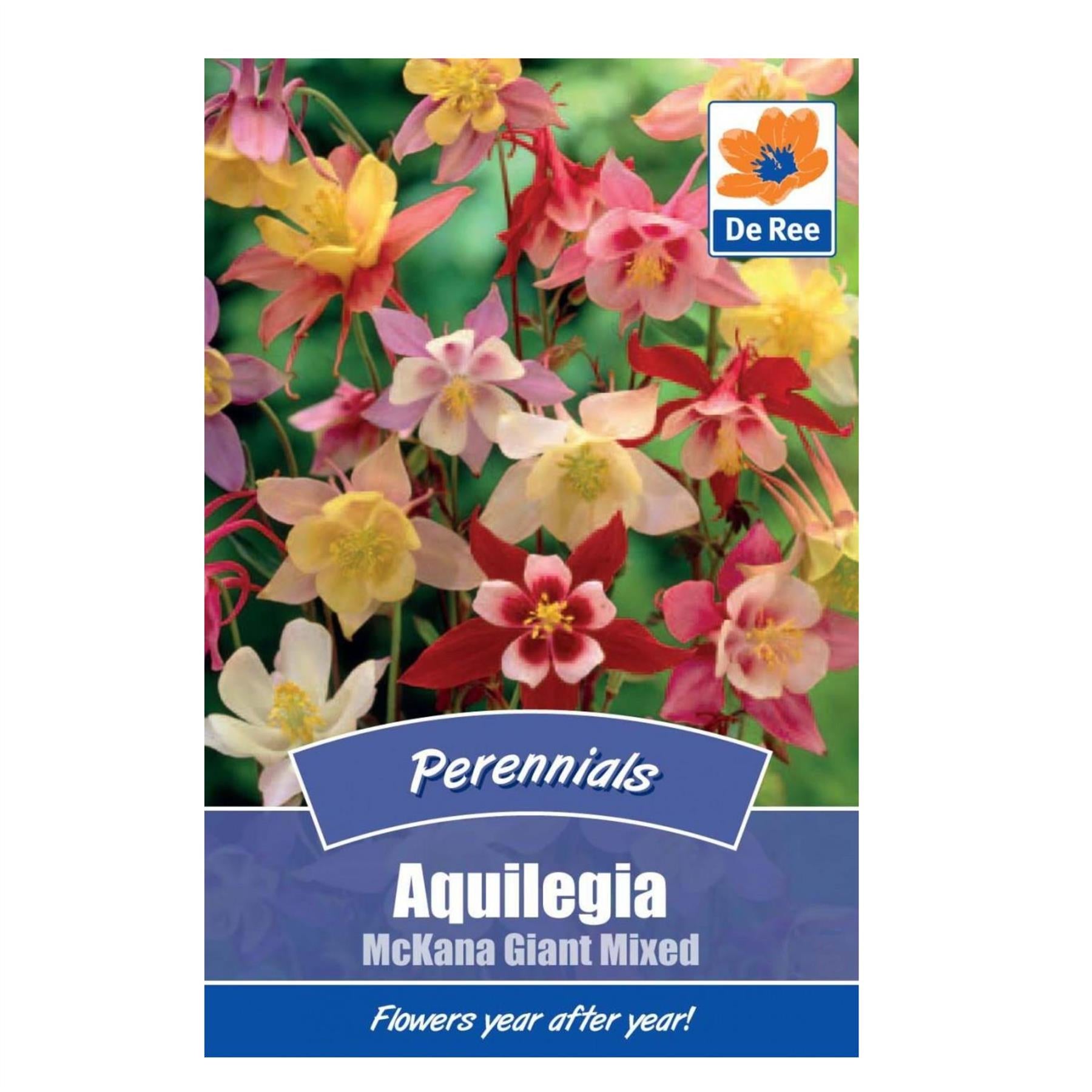 Aquilegia Mckana giant Mixed