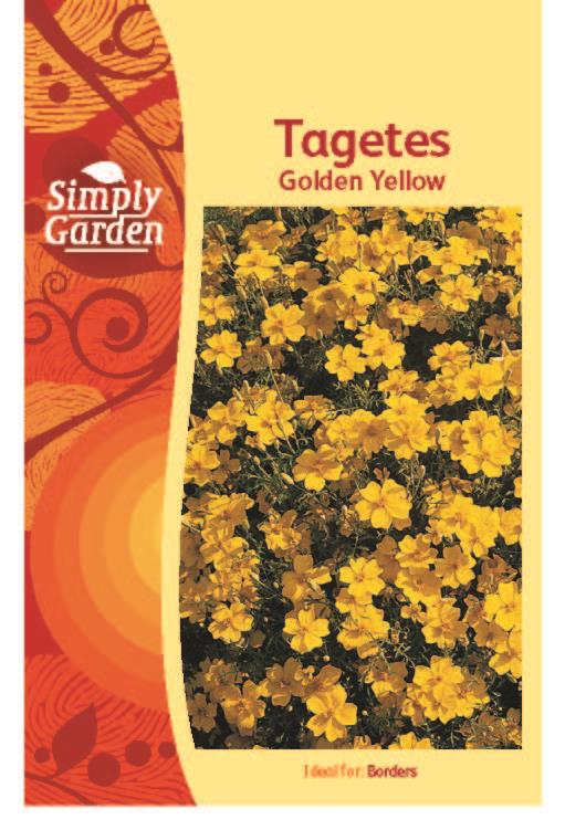 Tagetes Golden Gem