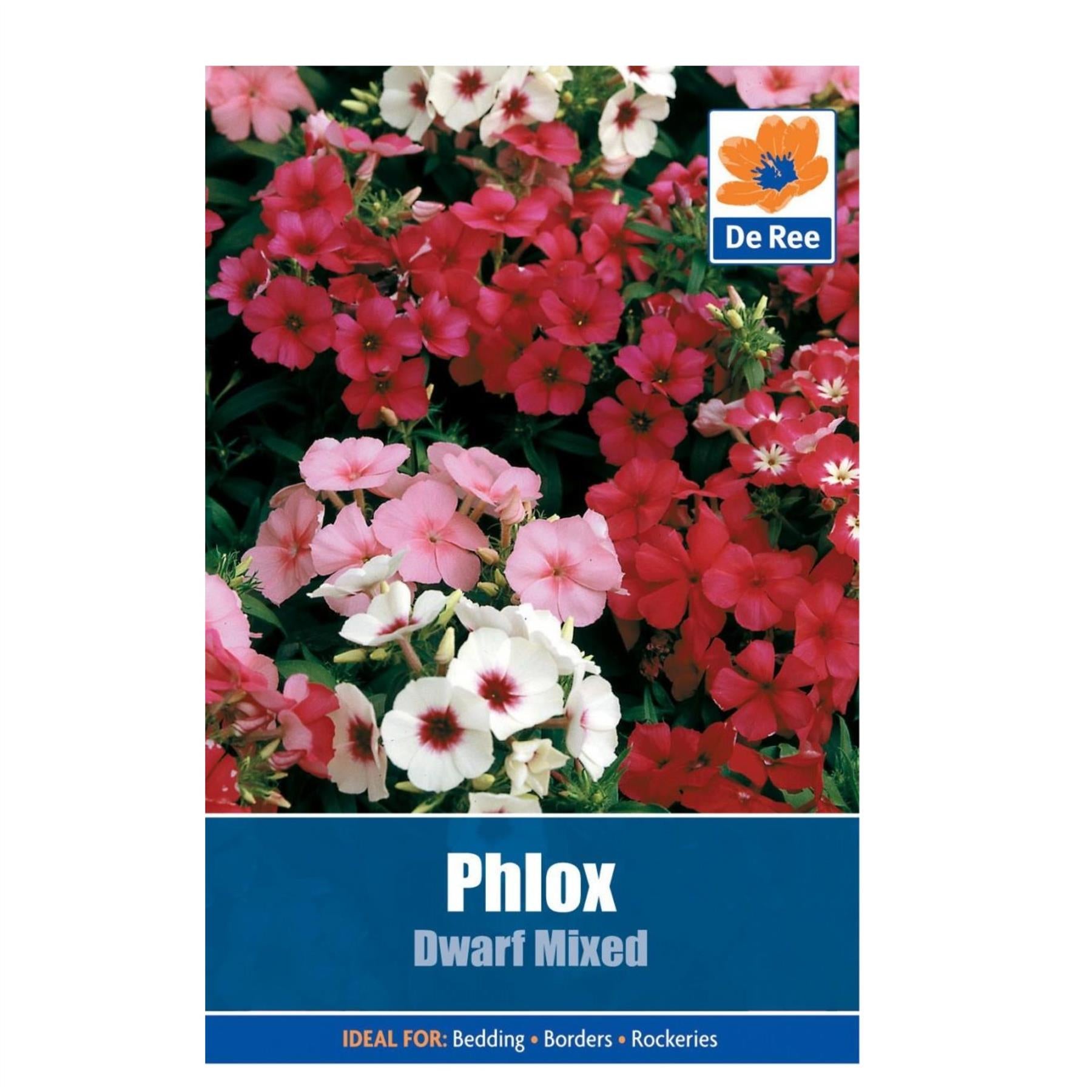 Phlox Dwarf Mixed