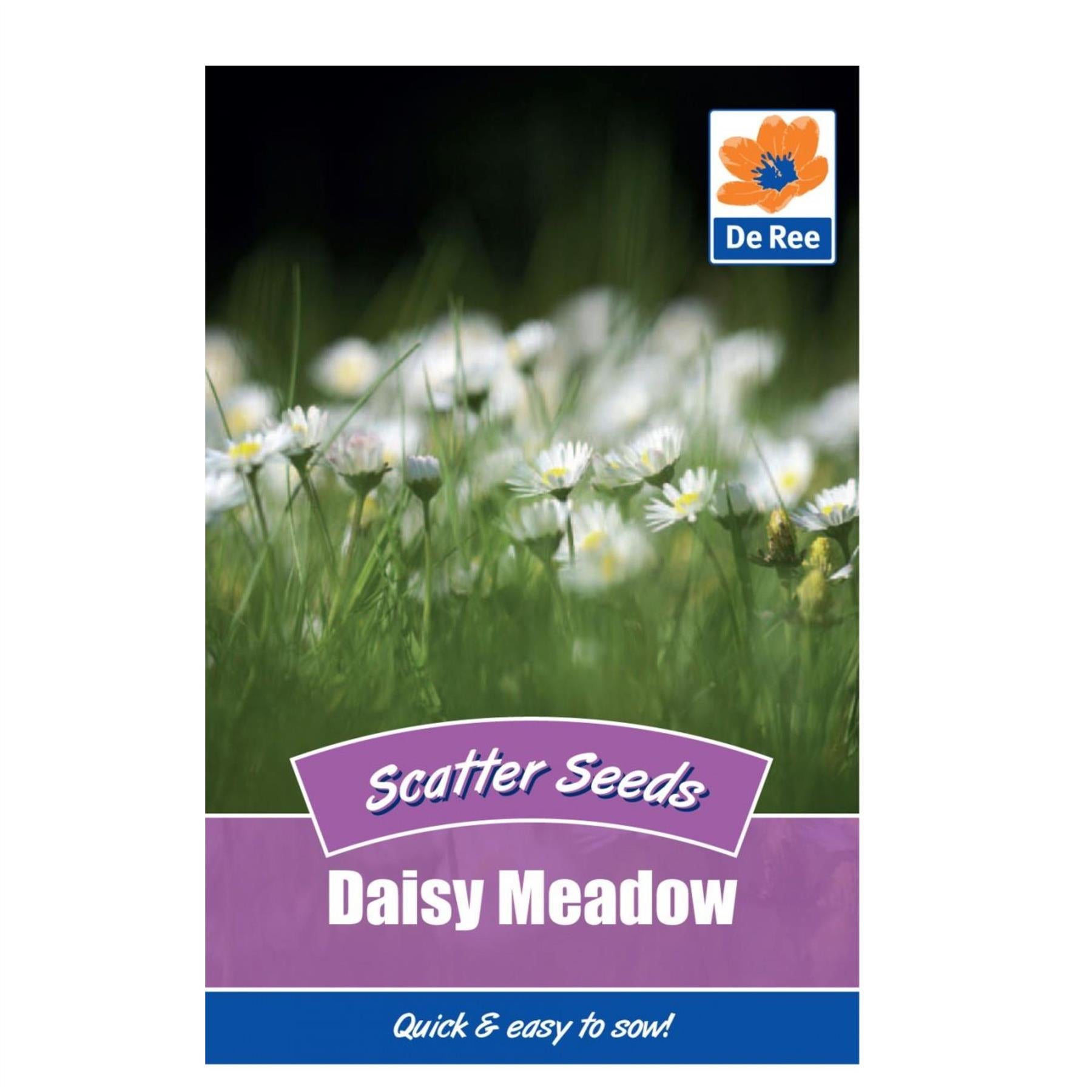 Daisy Meadow