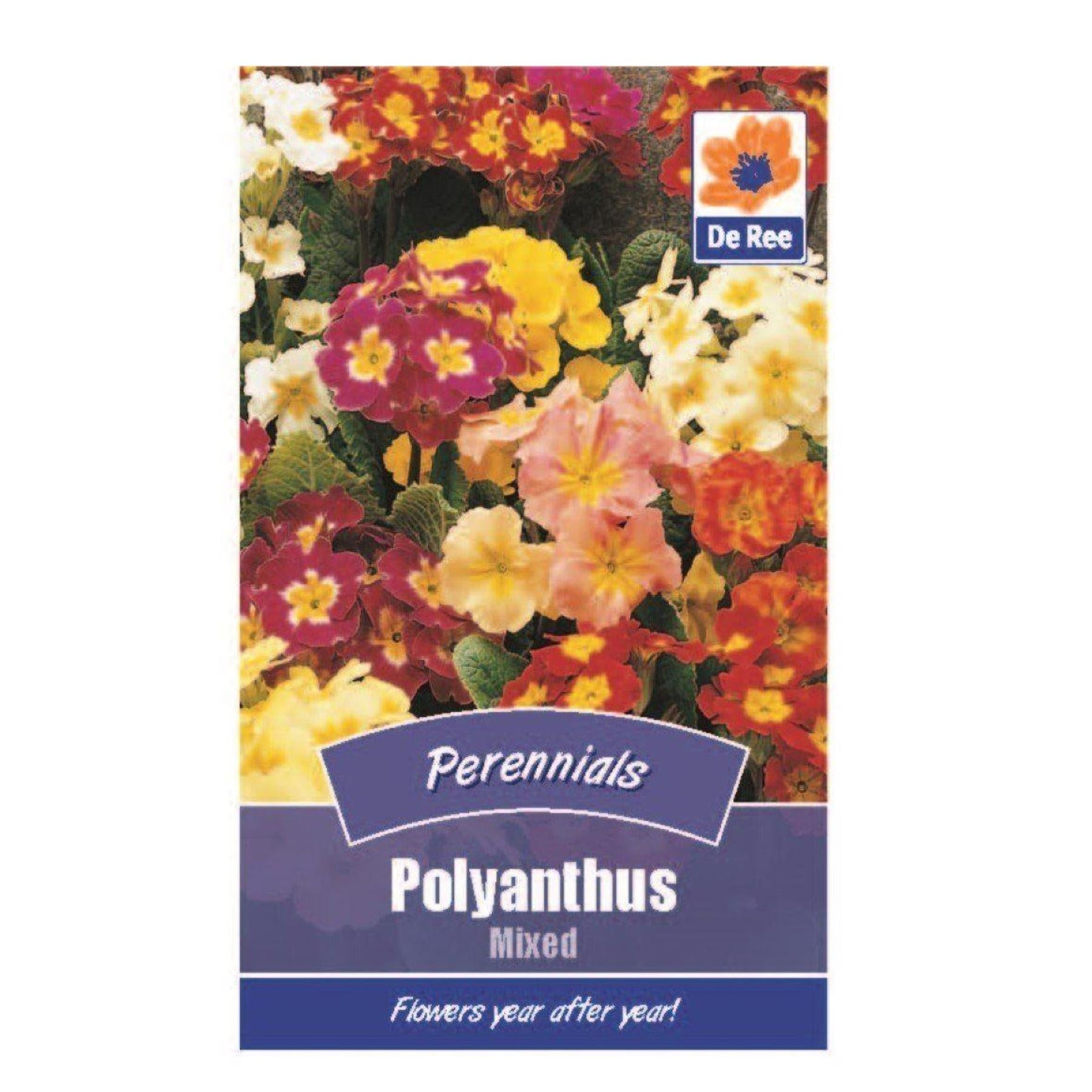 Polyanthus Mixed