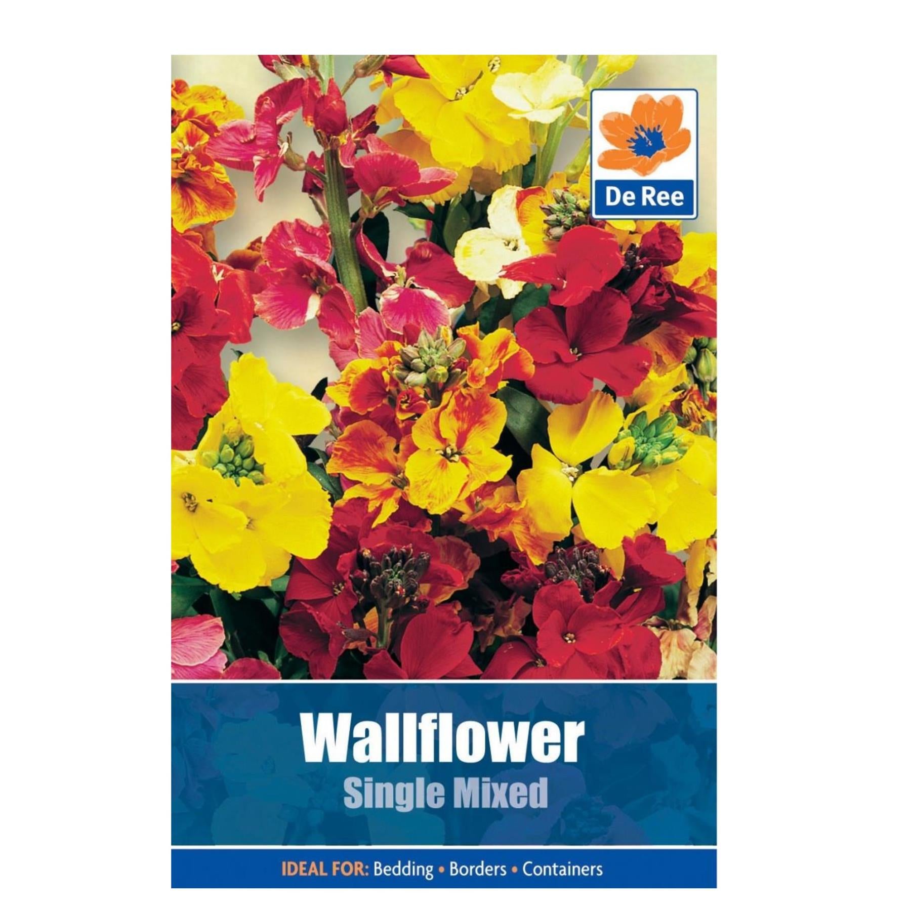 Wallflower Single Mixed