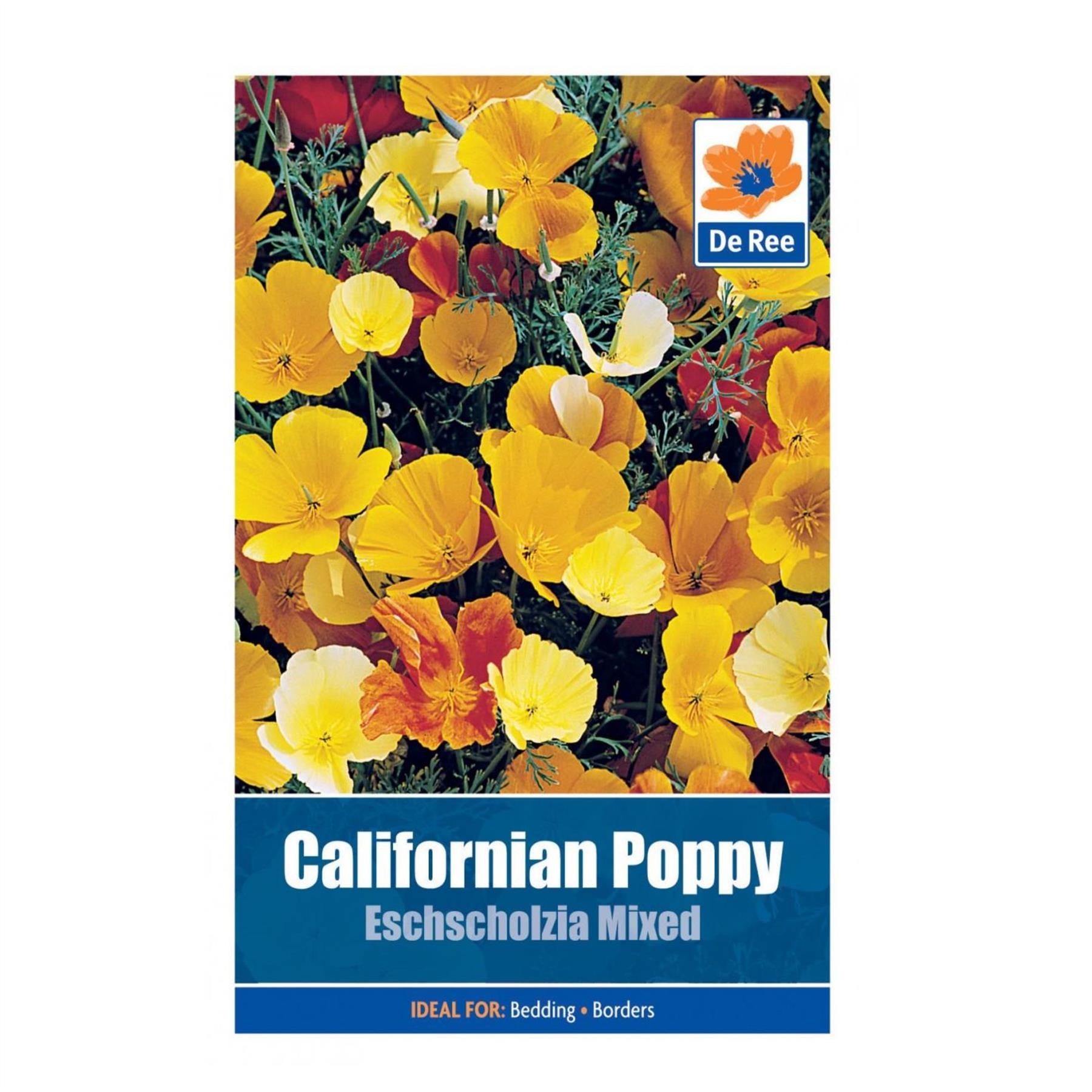 Californian Poppy