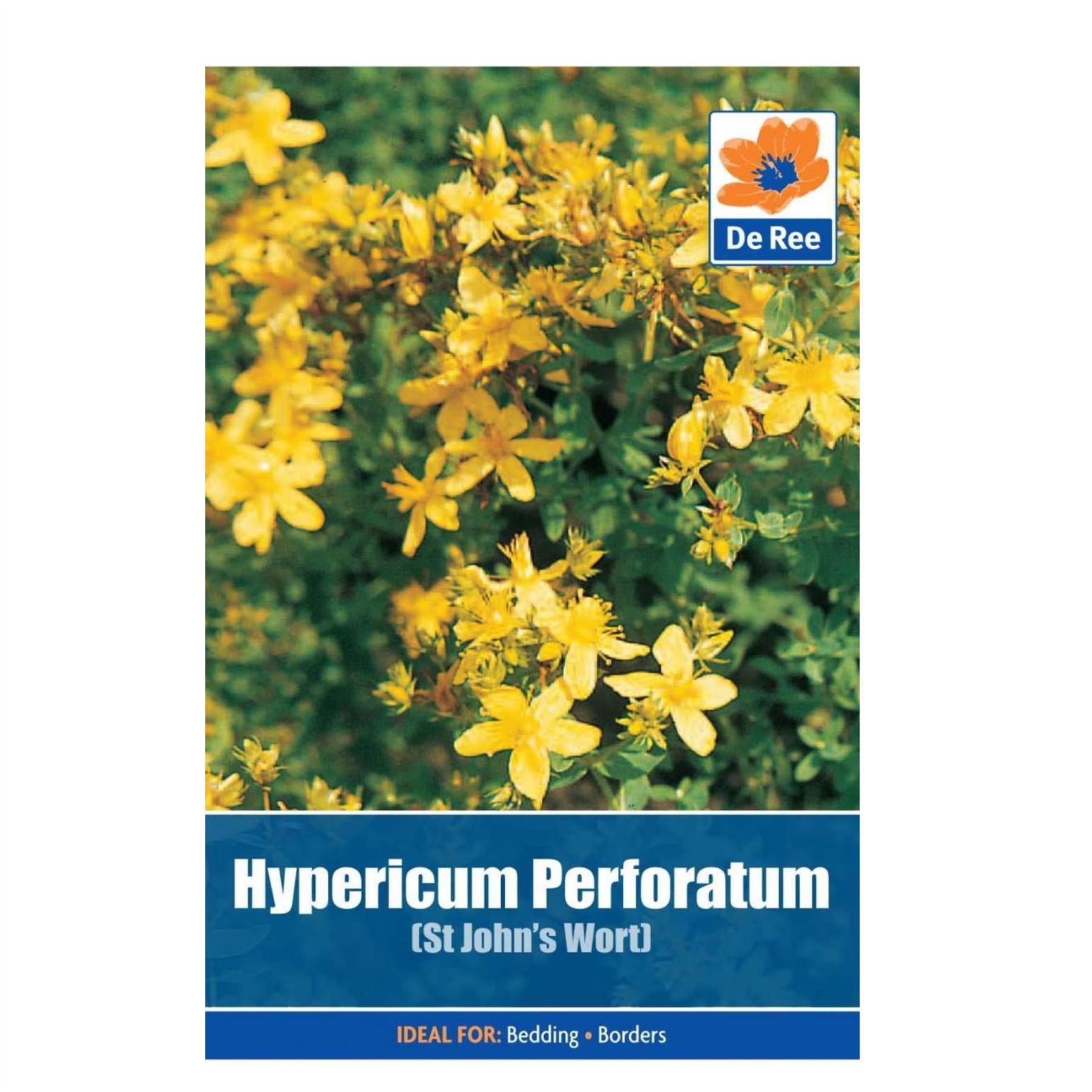 Hypericum Perforatum St. Johns Wort