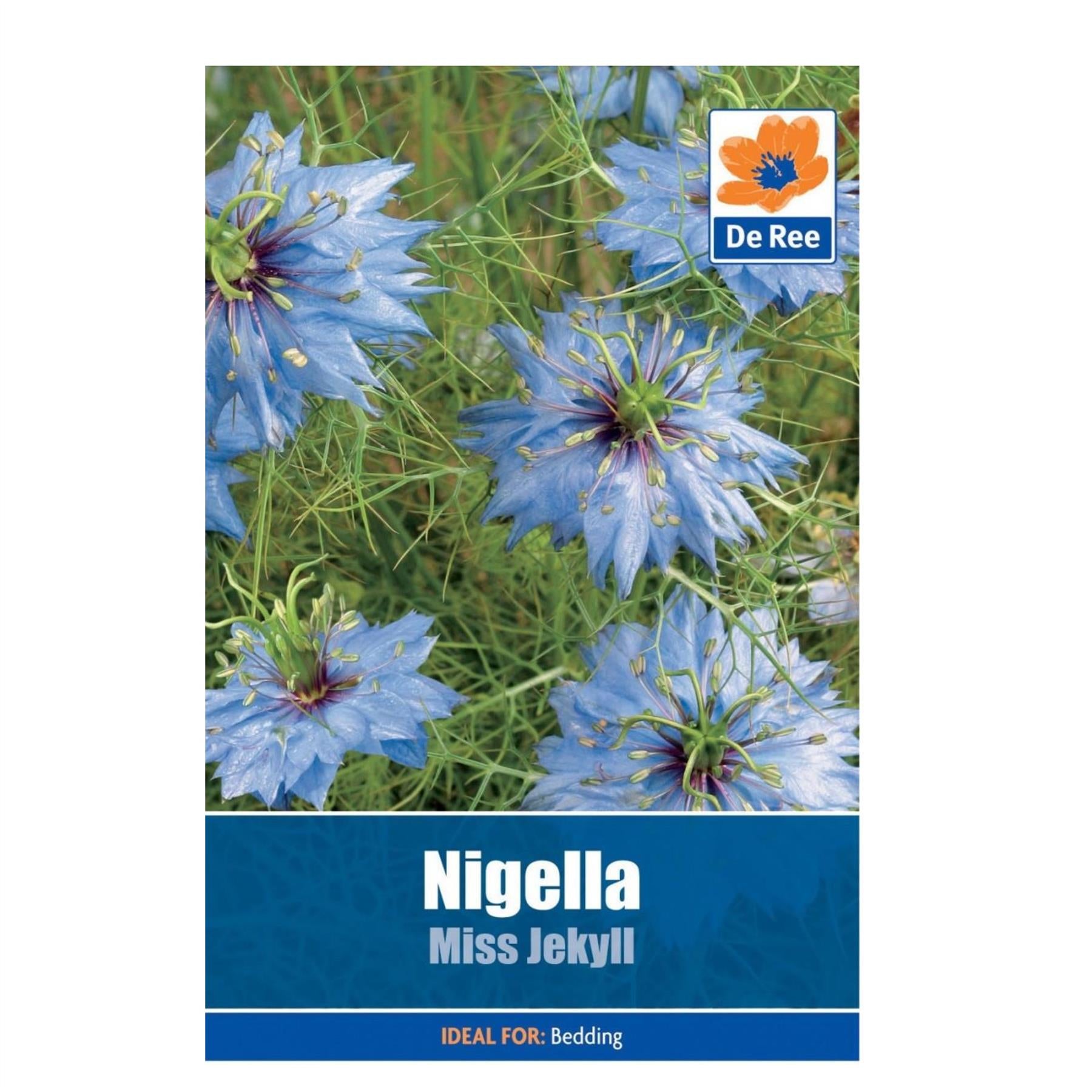 Nigella Miss Jekyll