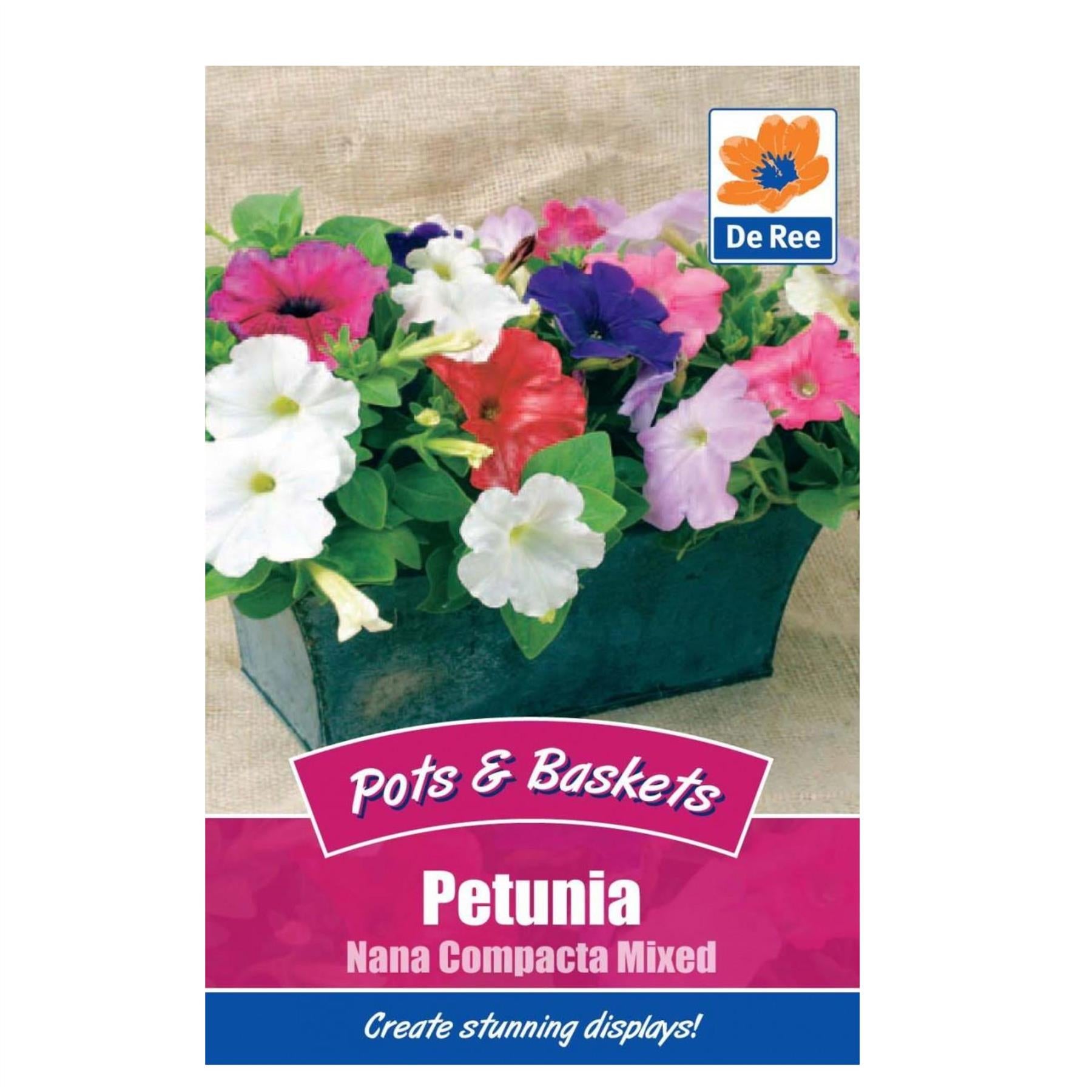 Petunia Nana Compacta