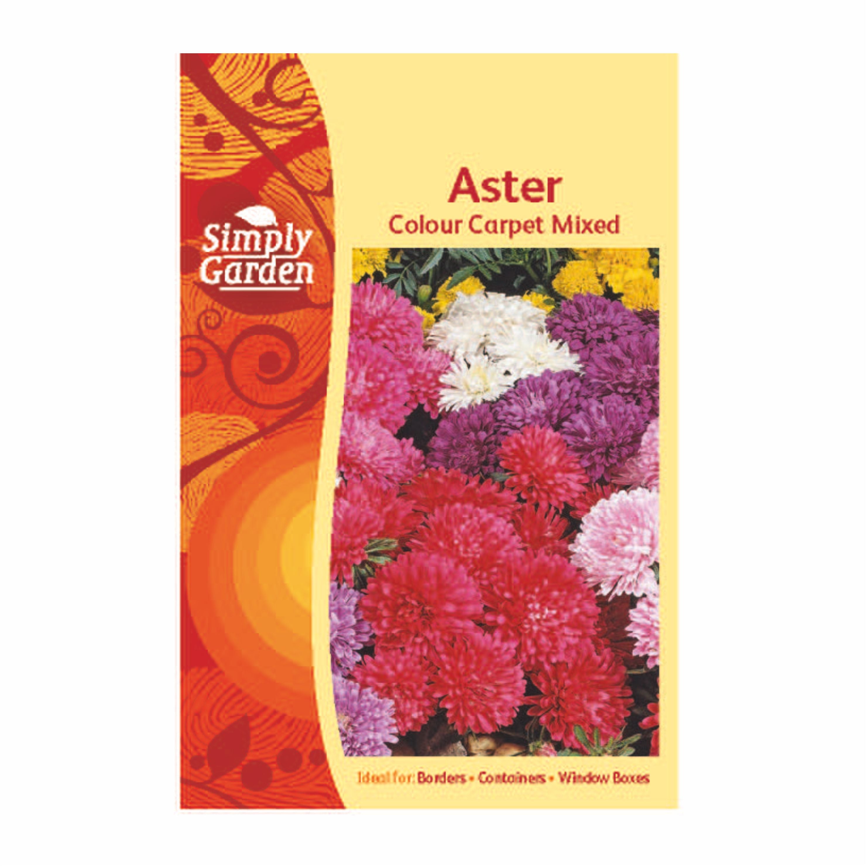 Aster Colour Carpet Mixed