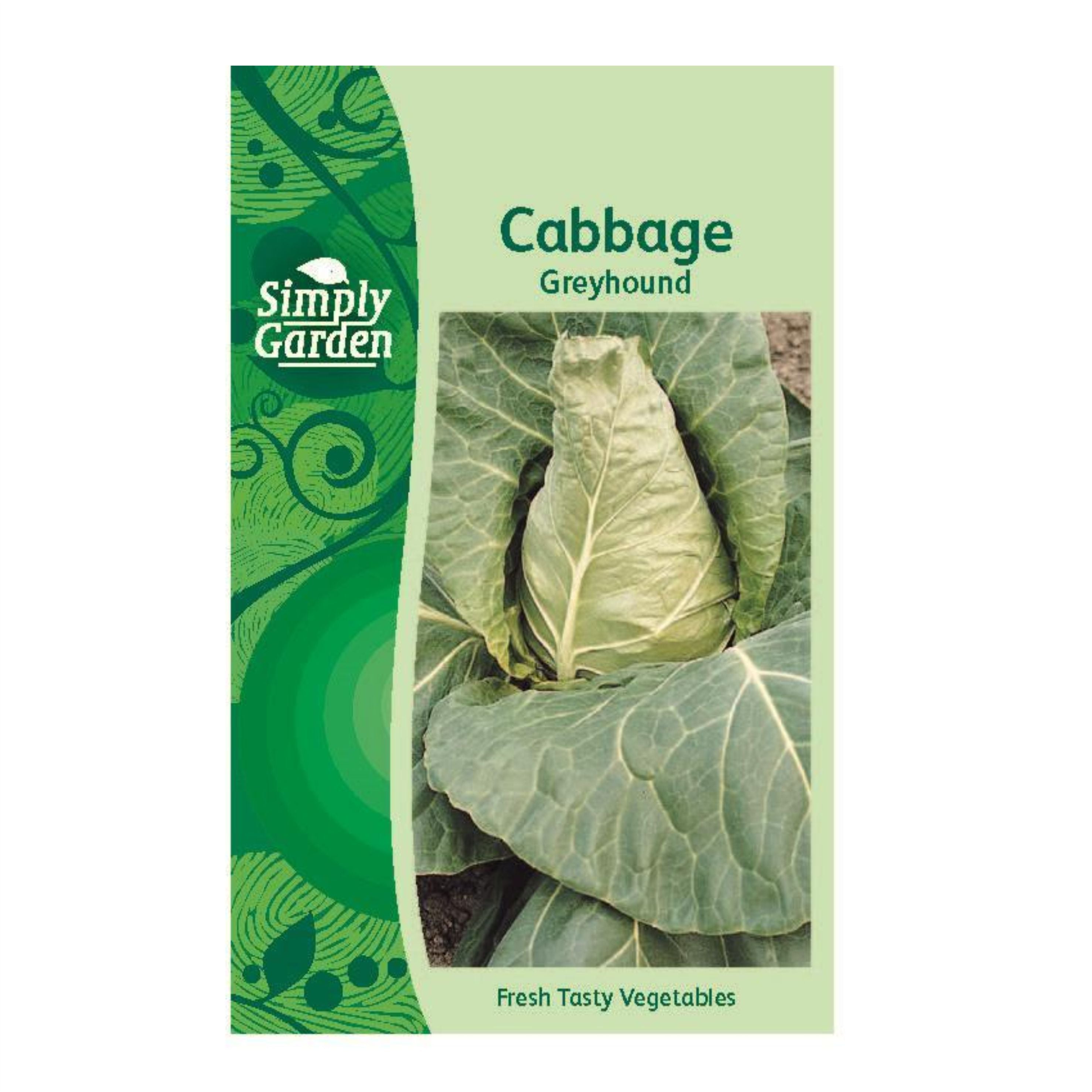 Cabbage Greyhound