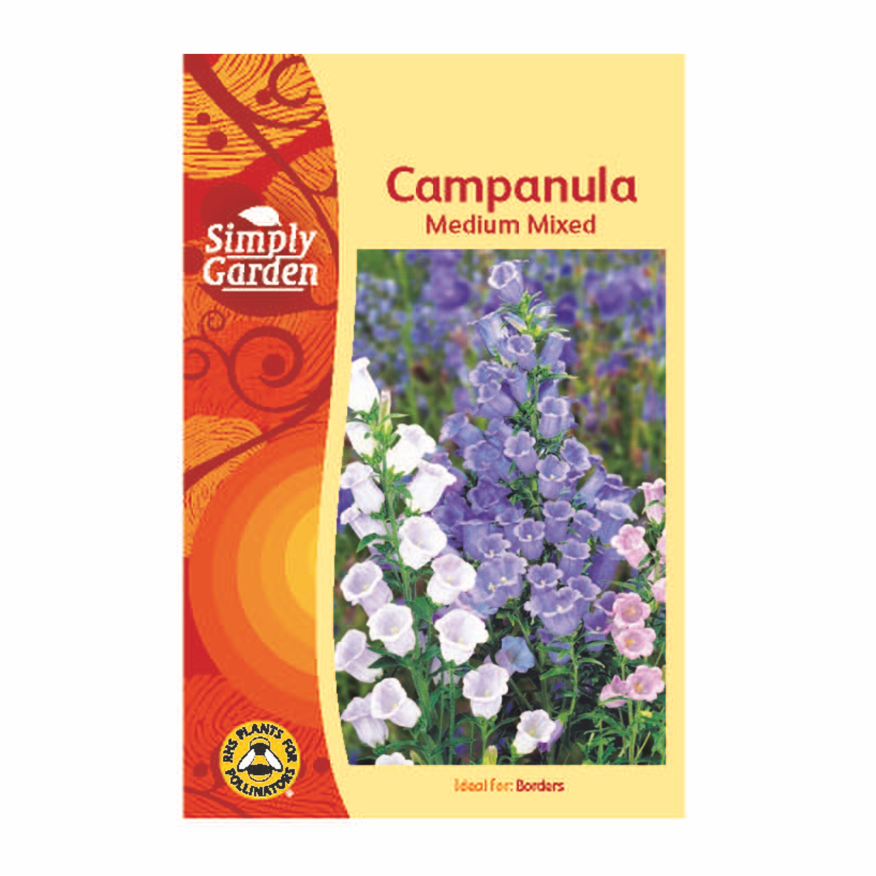 Campanula Medium Mixed