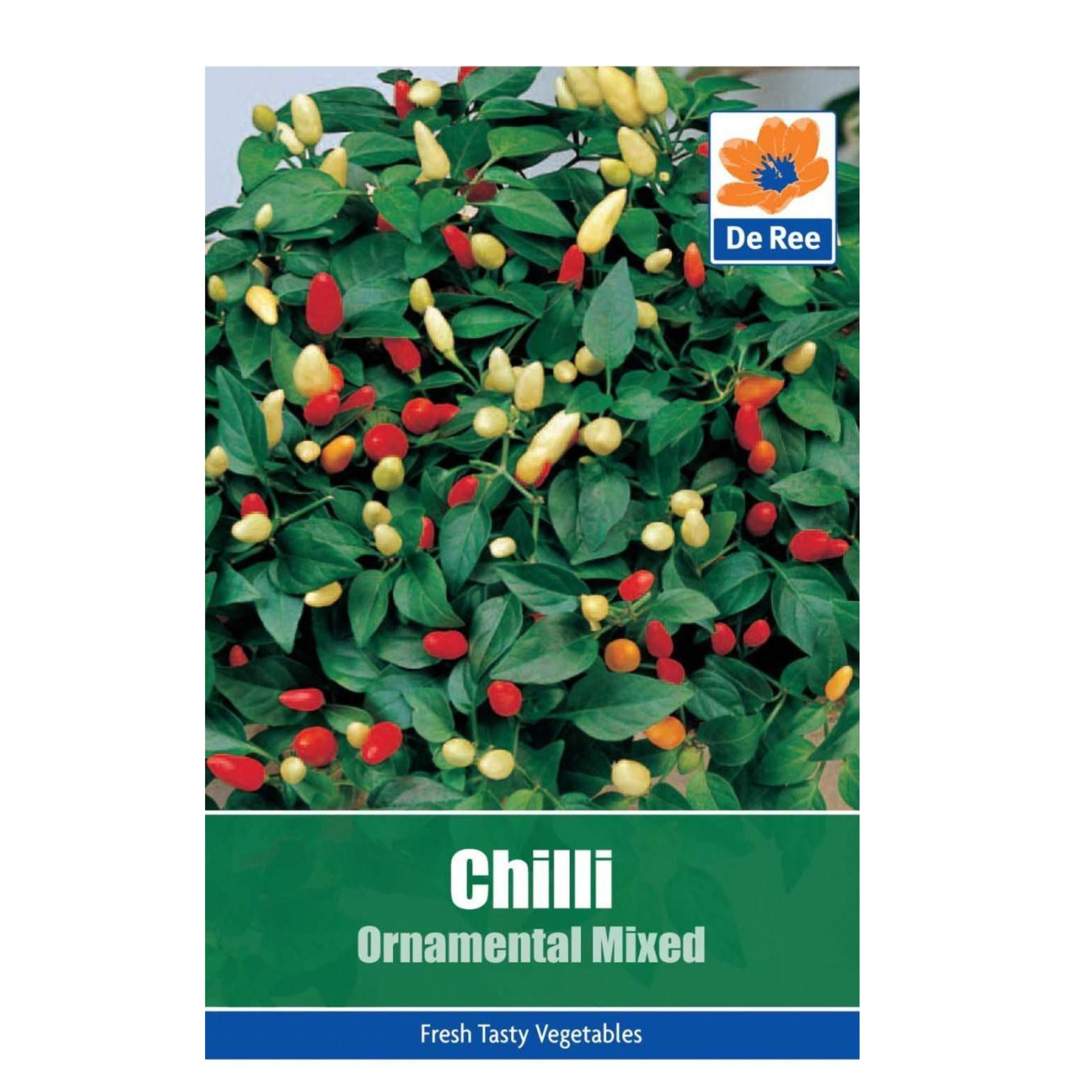 Chilli Ornamental