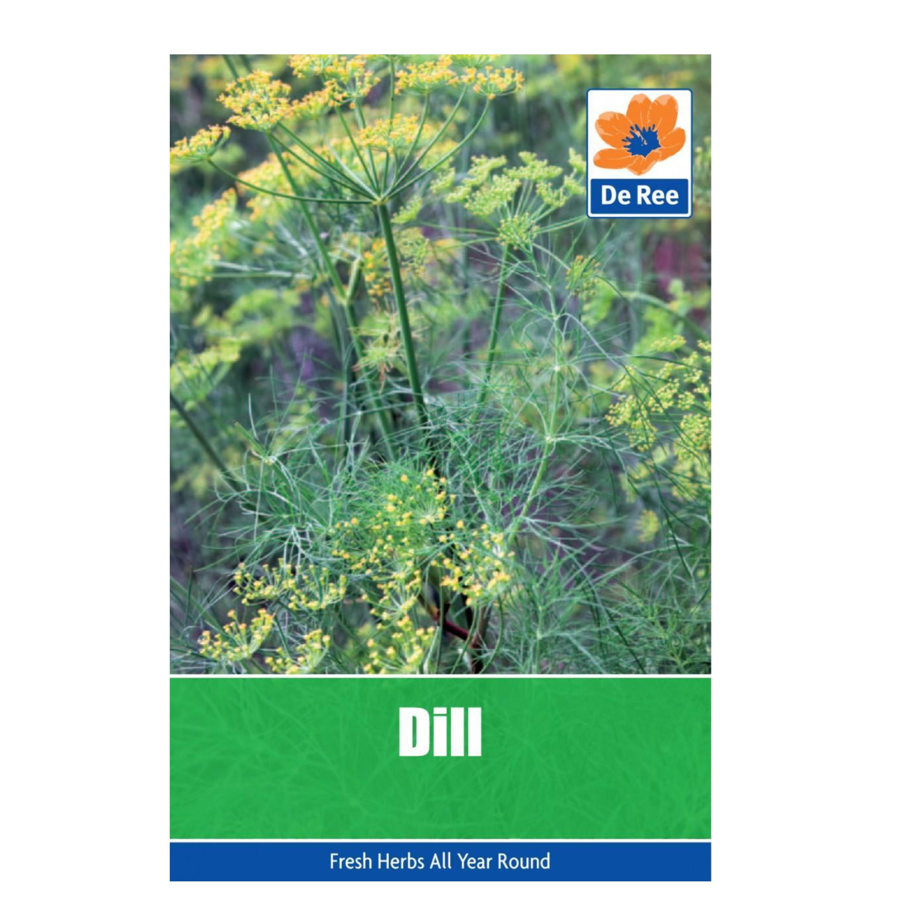 Dill