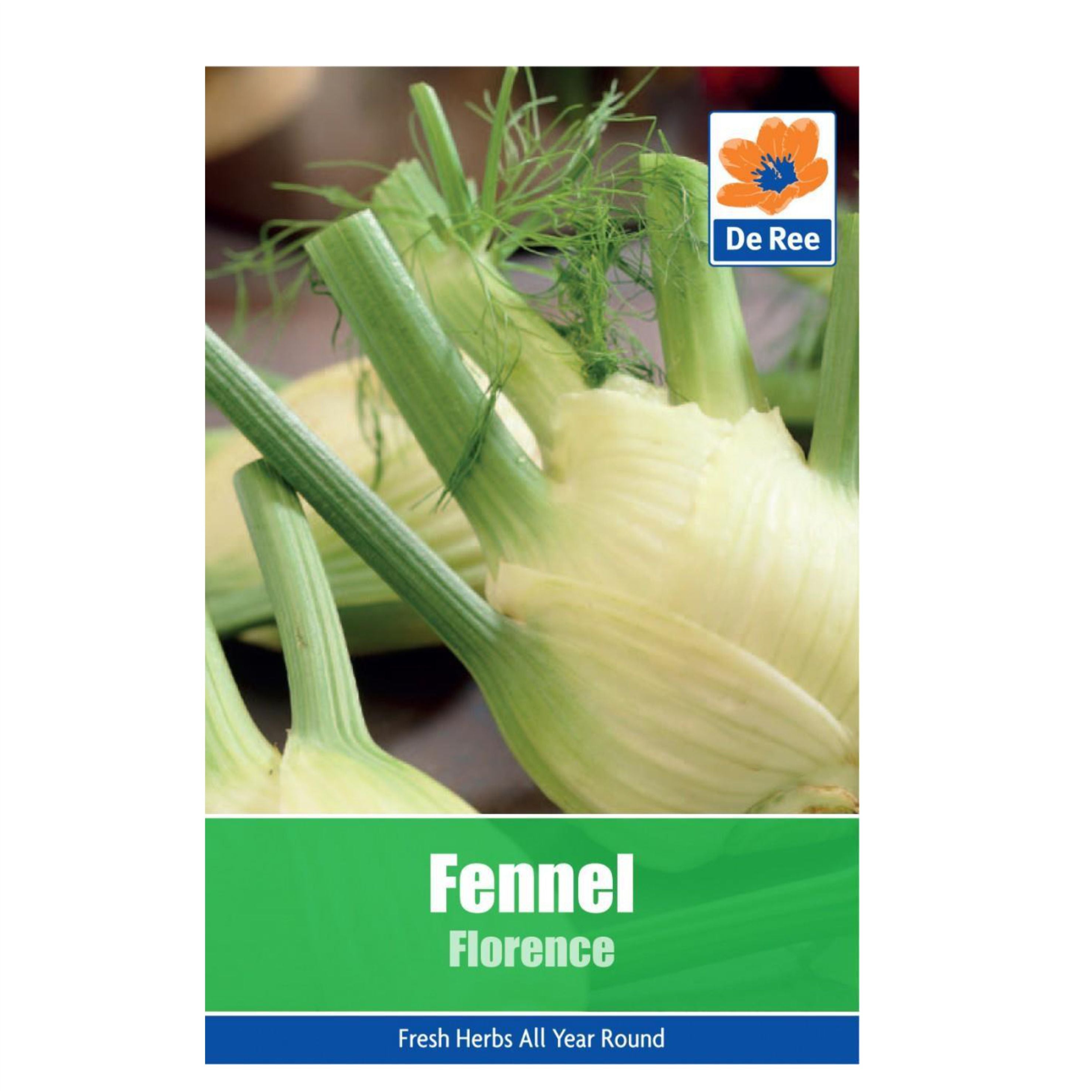 Fennel Florence