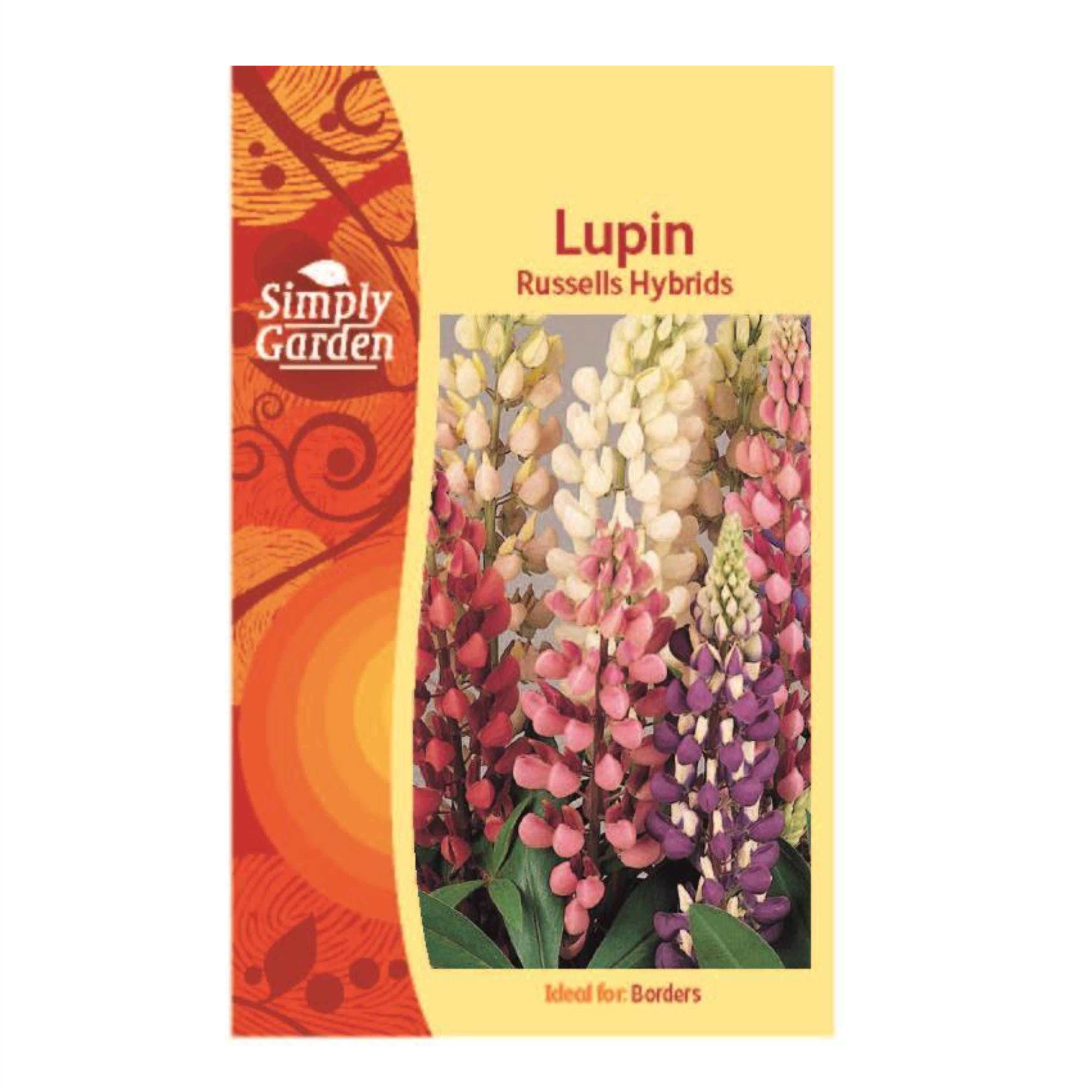 Lupin Russels Hybrids