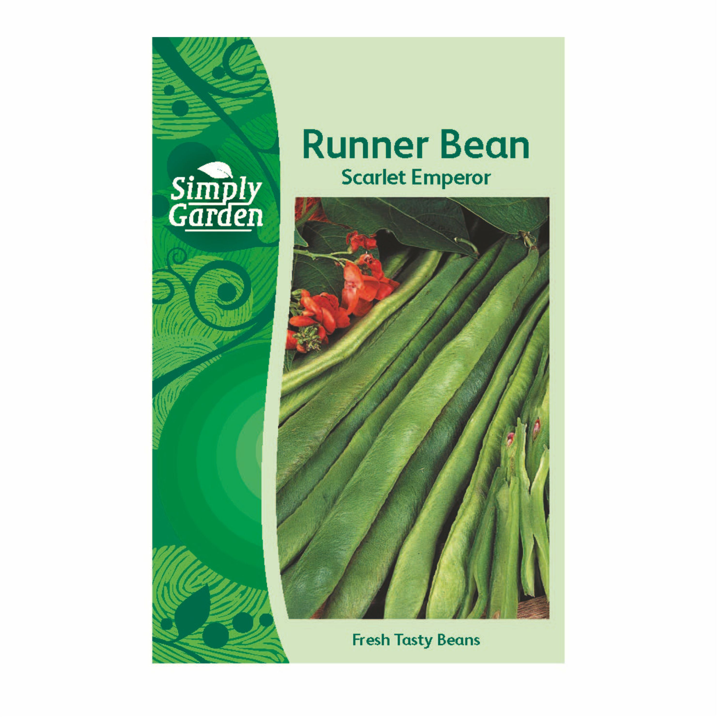 Runner Bean Scarlet Emperor