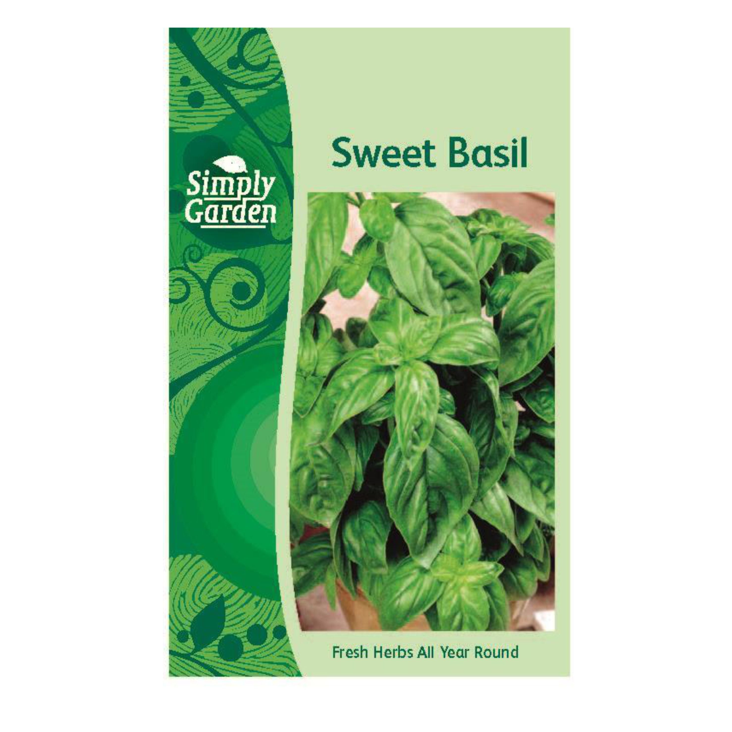 Sweet Basil