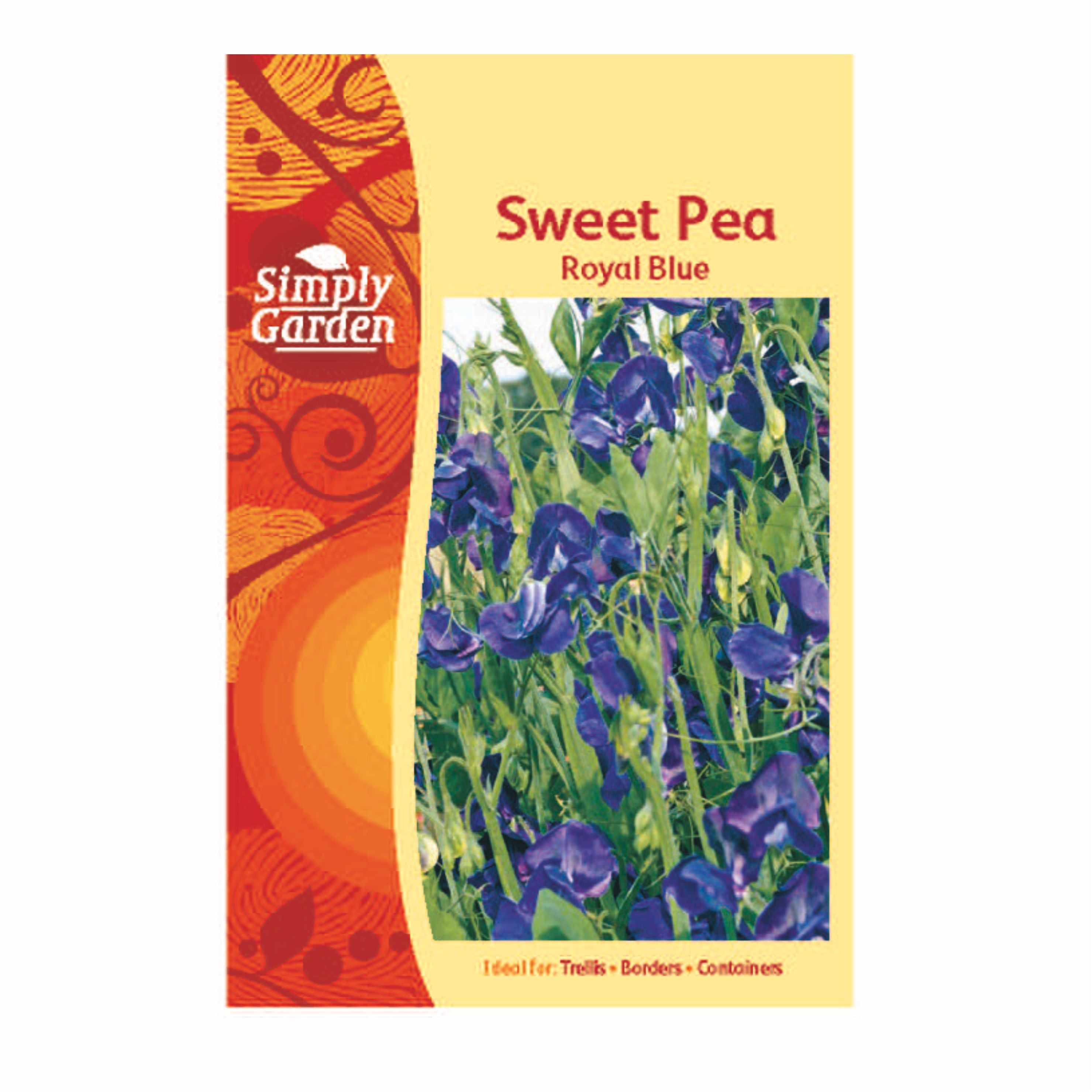 Sweet Pea Royal Blue