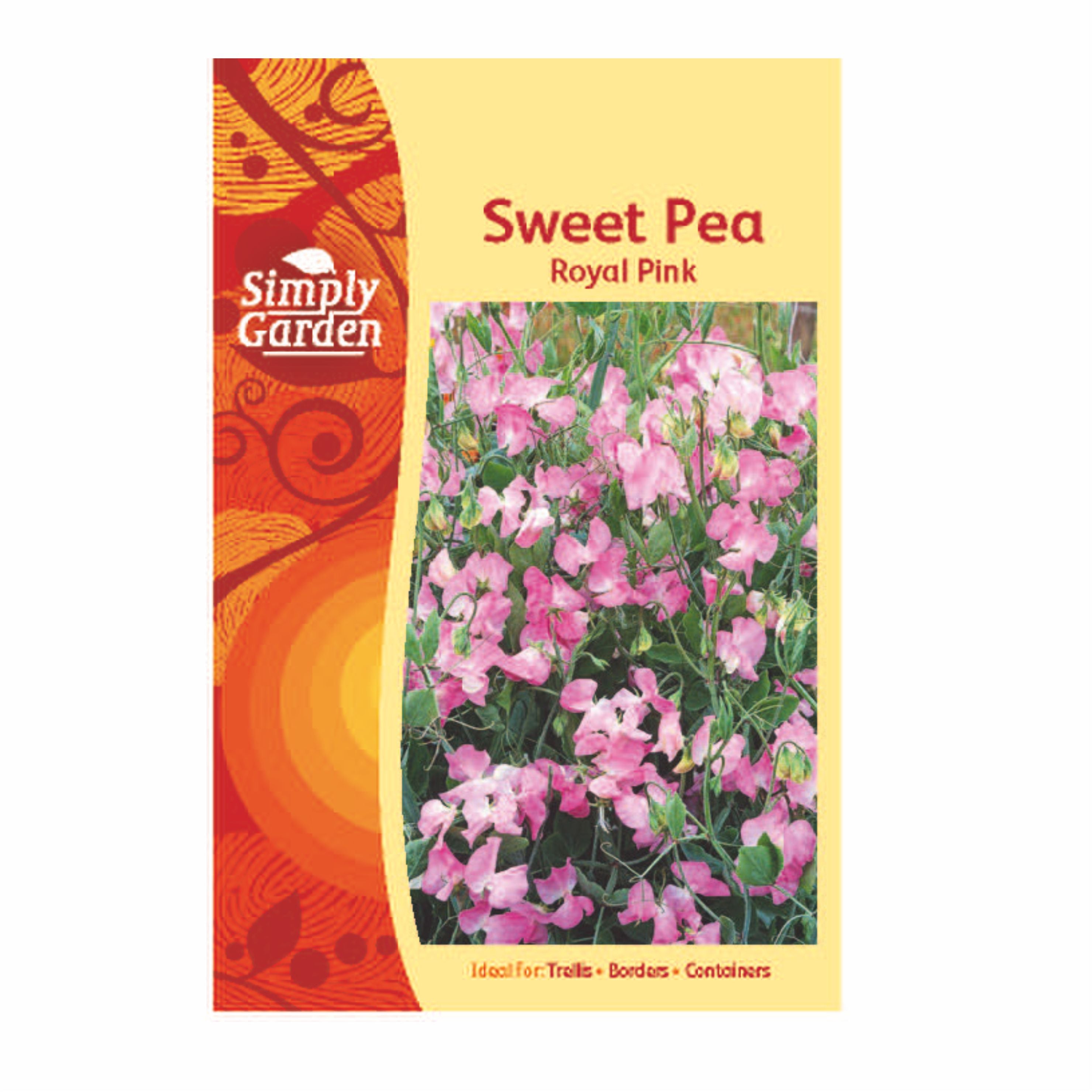 Sweet Pea Royal Pink Mixed