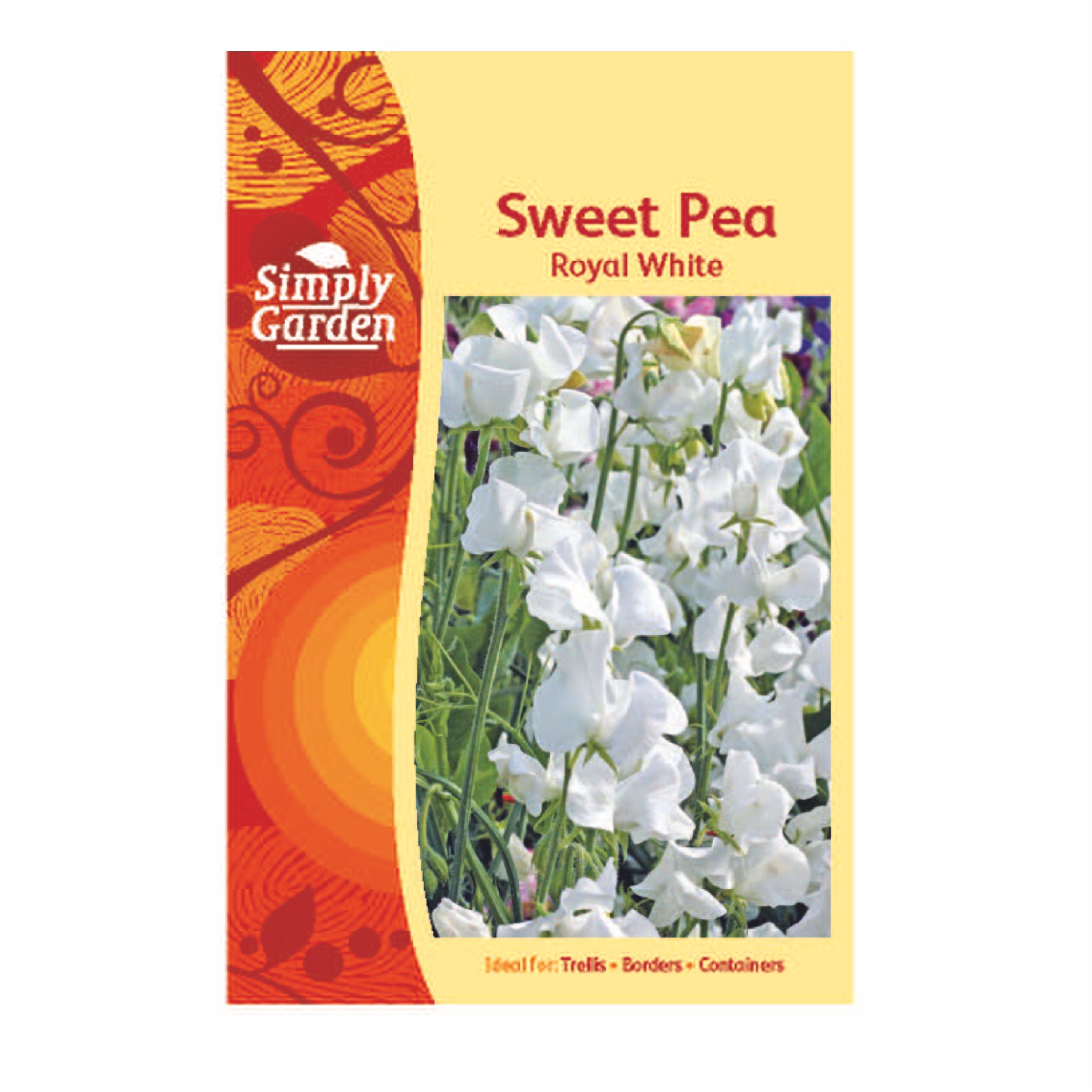 Sweet Pea Royal White Mixed